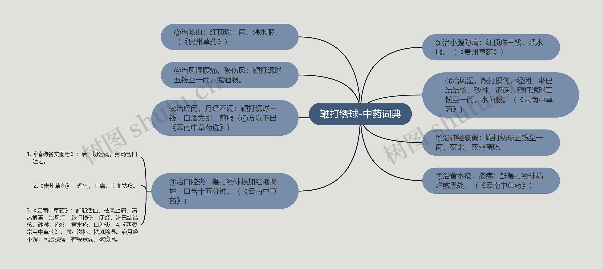 鞭打绣球-中药词典思维导图