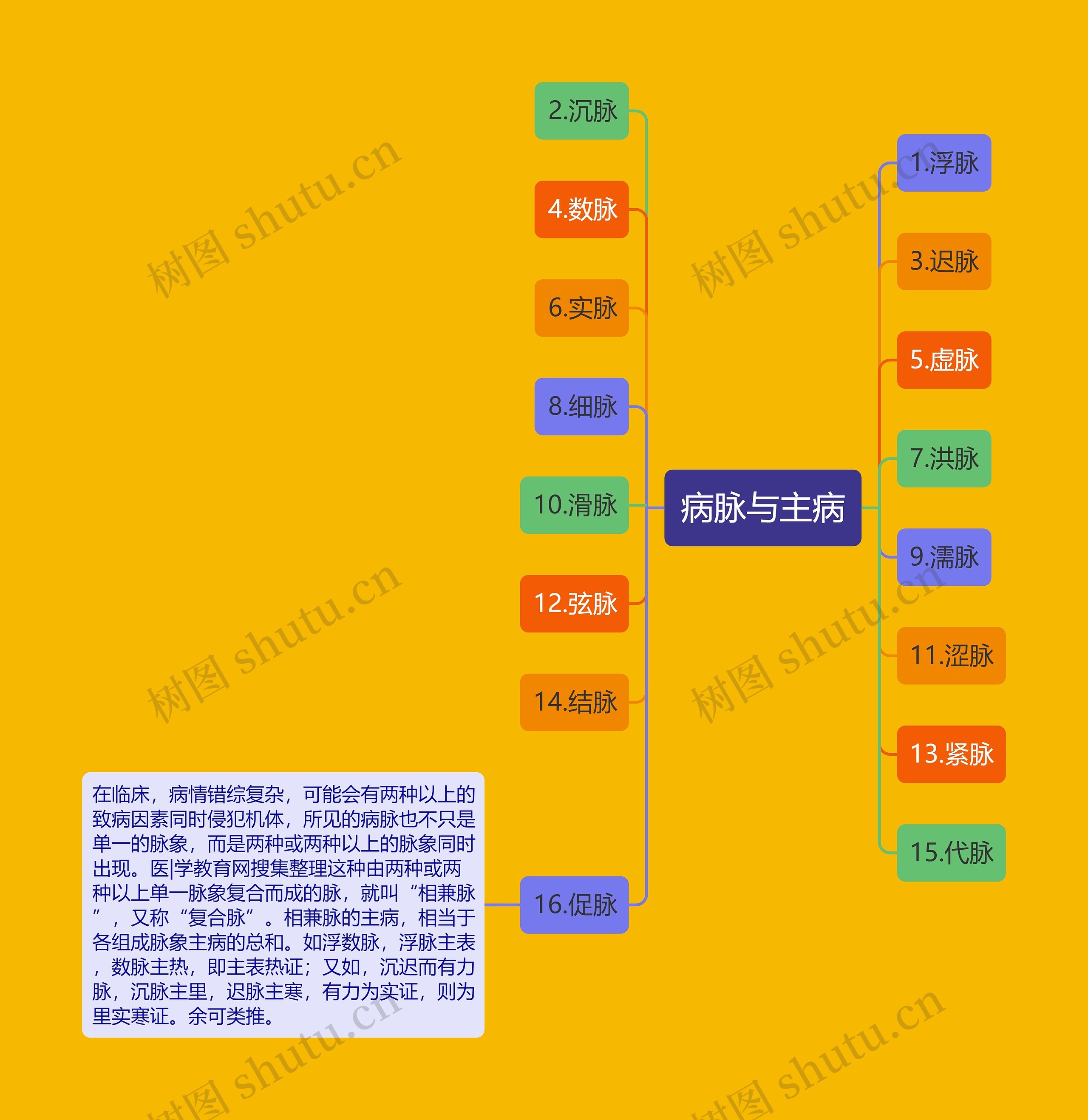 病脉与主病思维导图