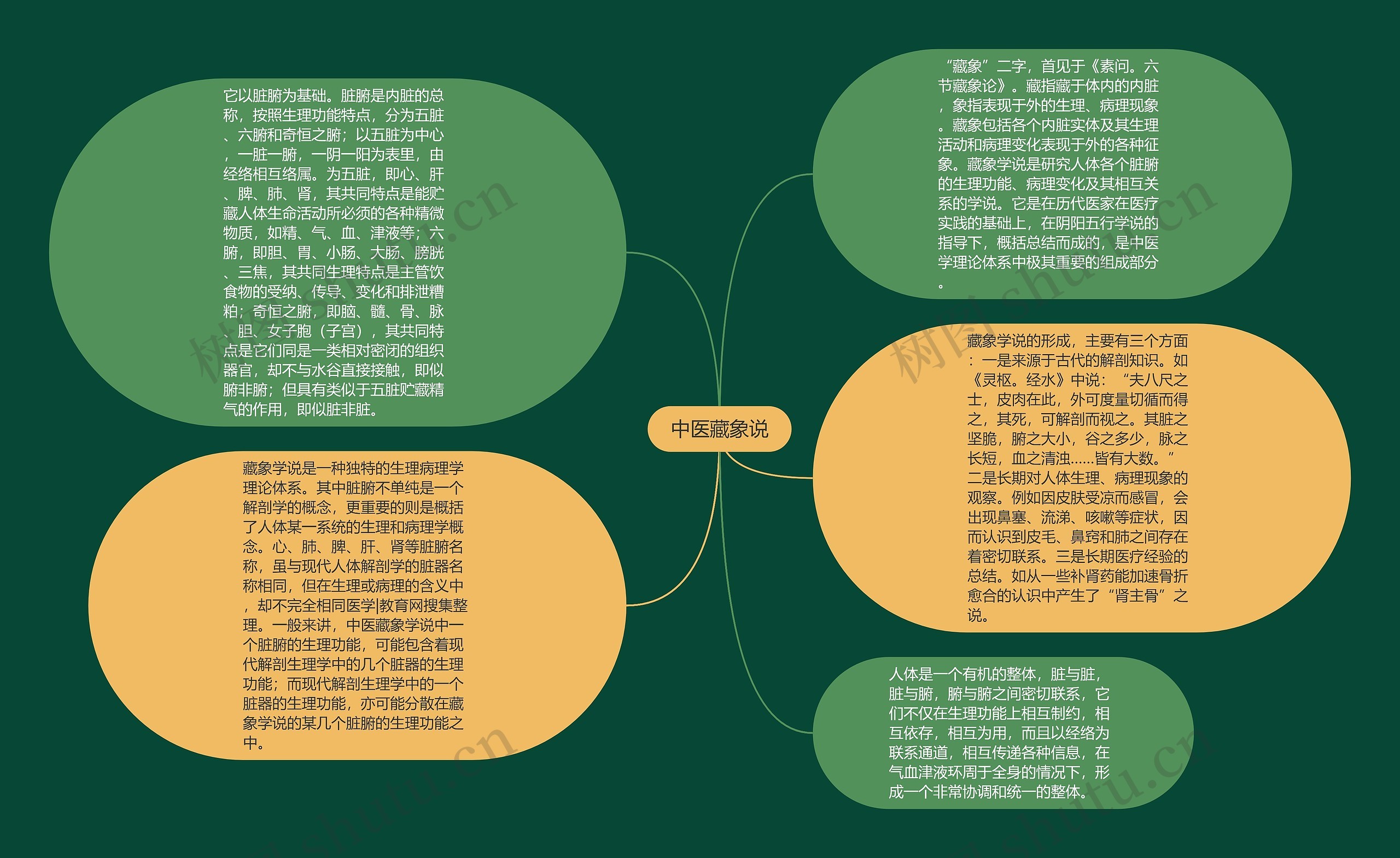 中医藏象说思维导图高清图 中医藏象说思维导图