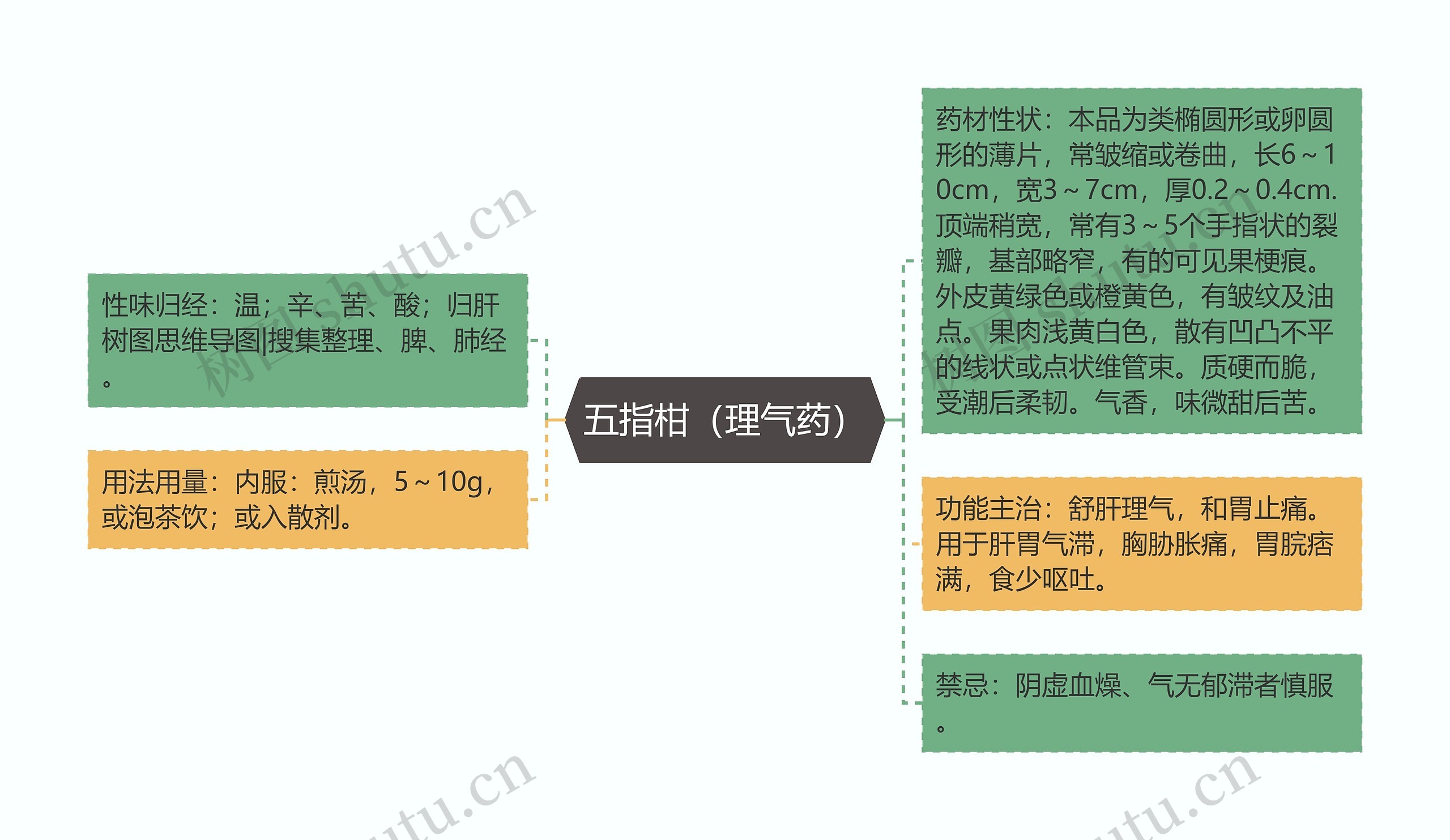 五指柑(理气药) 五指柑(理气药)