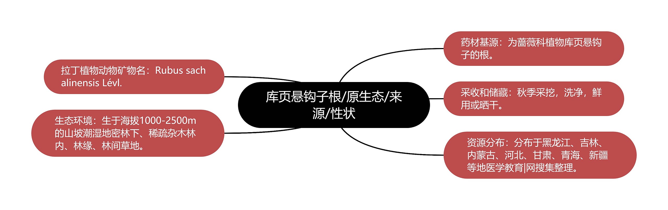 库页悬钩子根/原生态/来源/性状思维导图