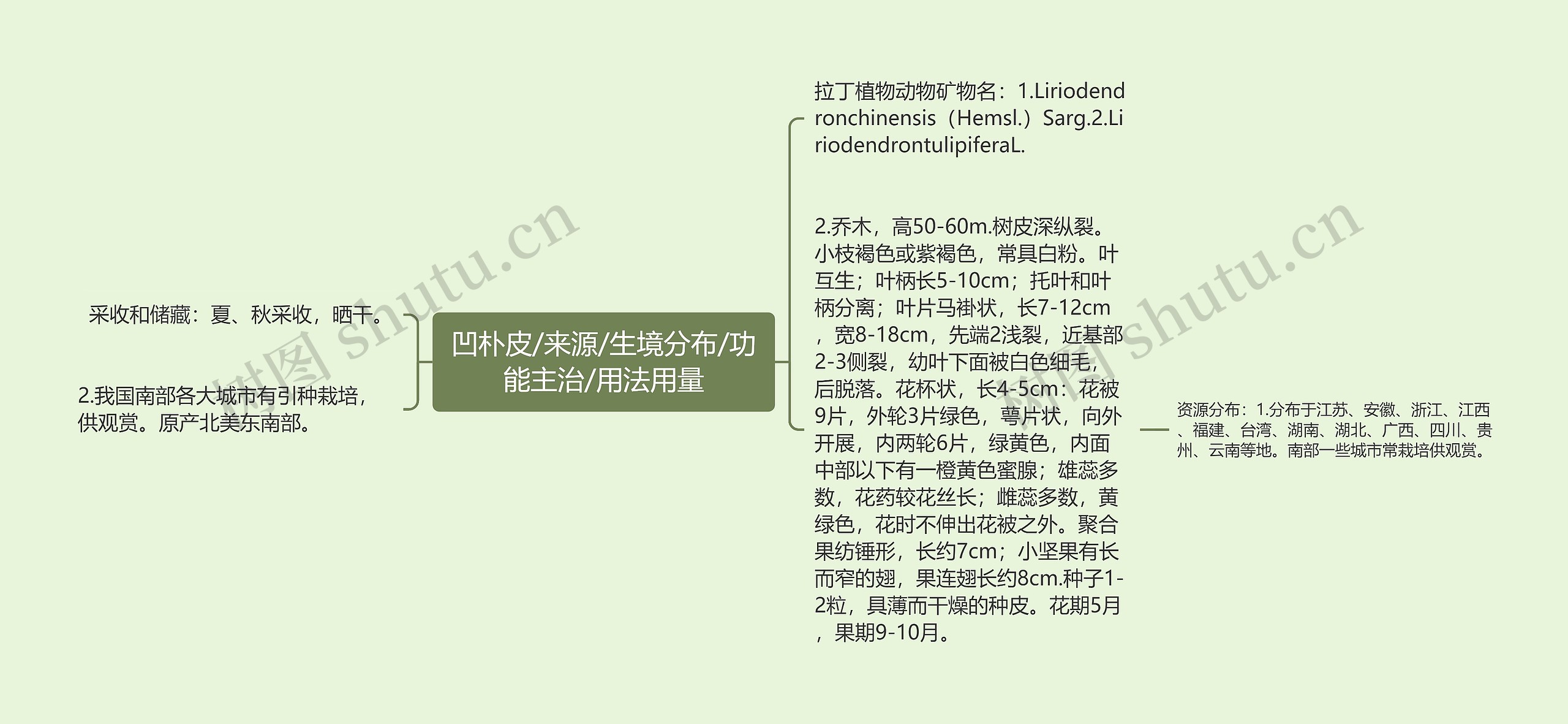 凹朴皮/来源/生境分布/功能主治/用法用量
