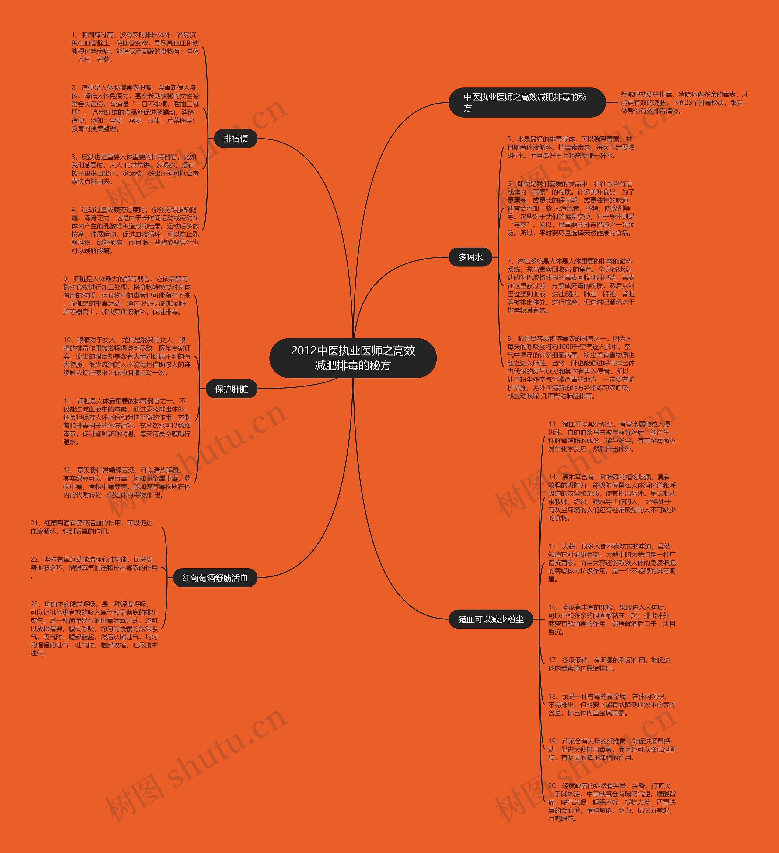 2012中医执业医师之高效减肥排毒的秘方思维导图