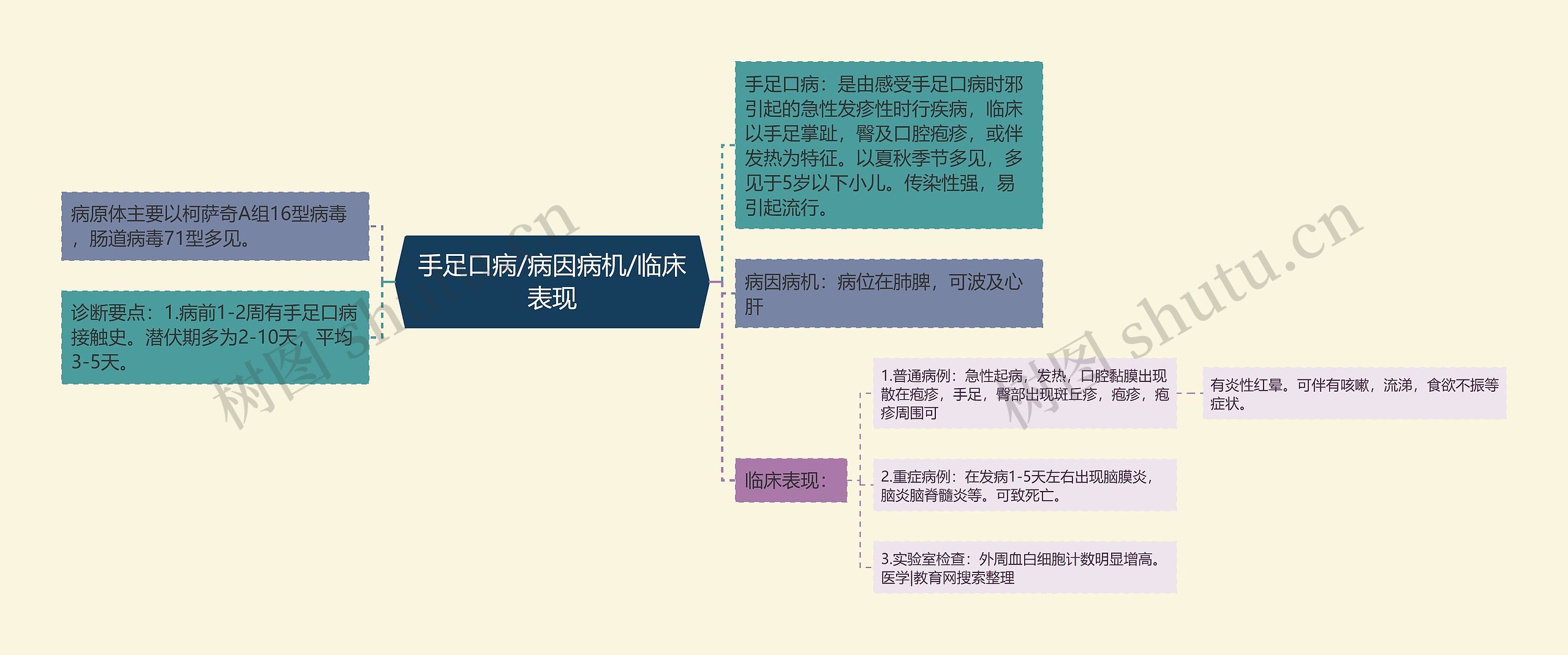 手足口病/病因病机/临床表现思维导图