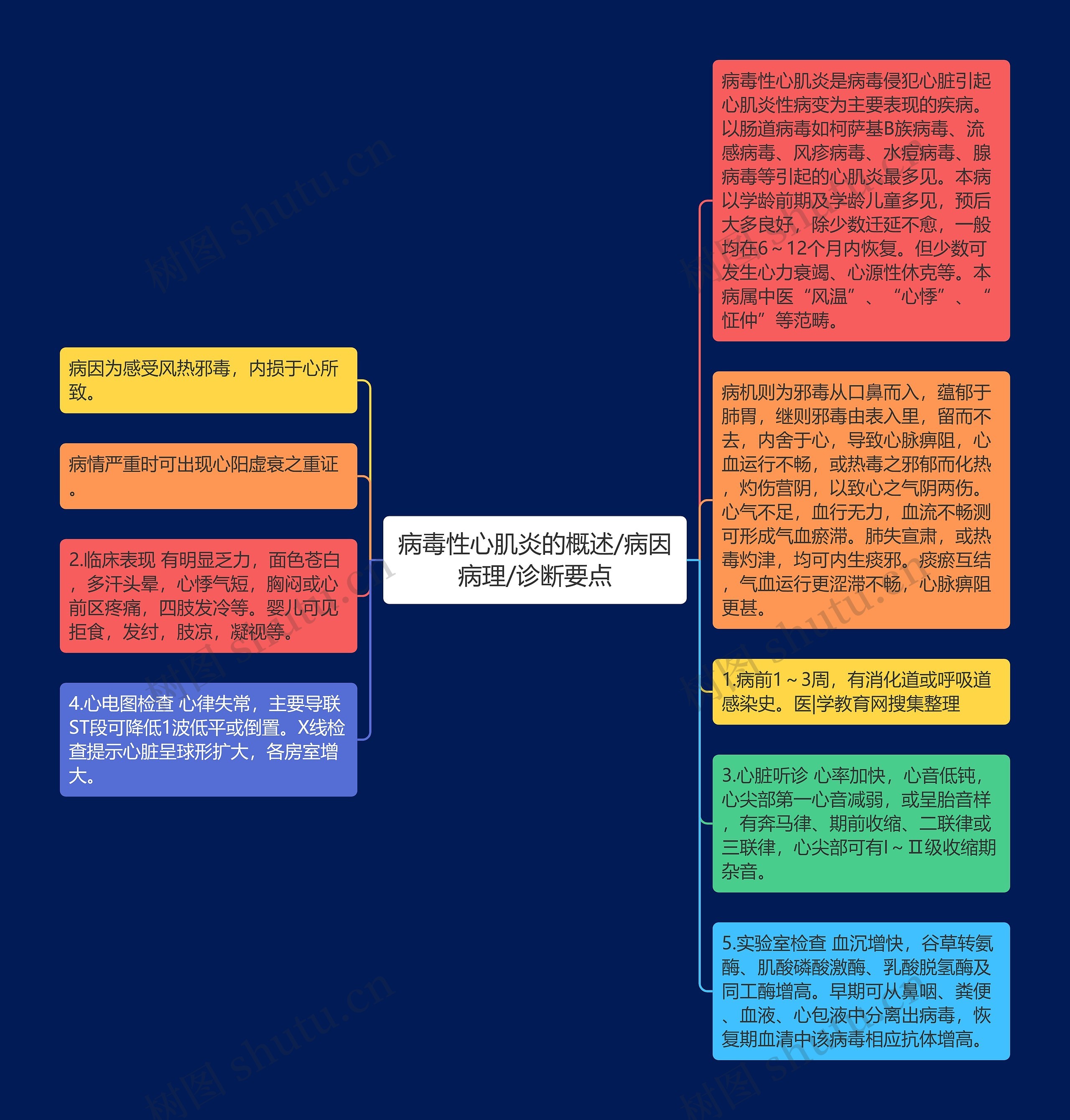 病毒性心肌炎的概述/病因病理/诊断要点思维导图