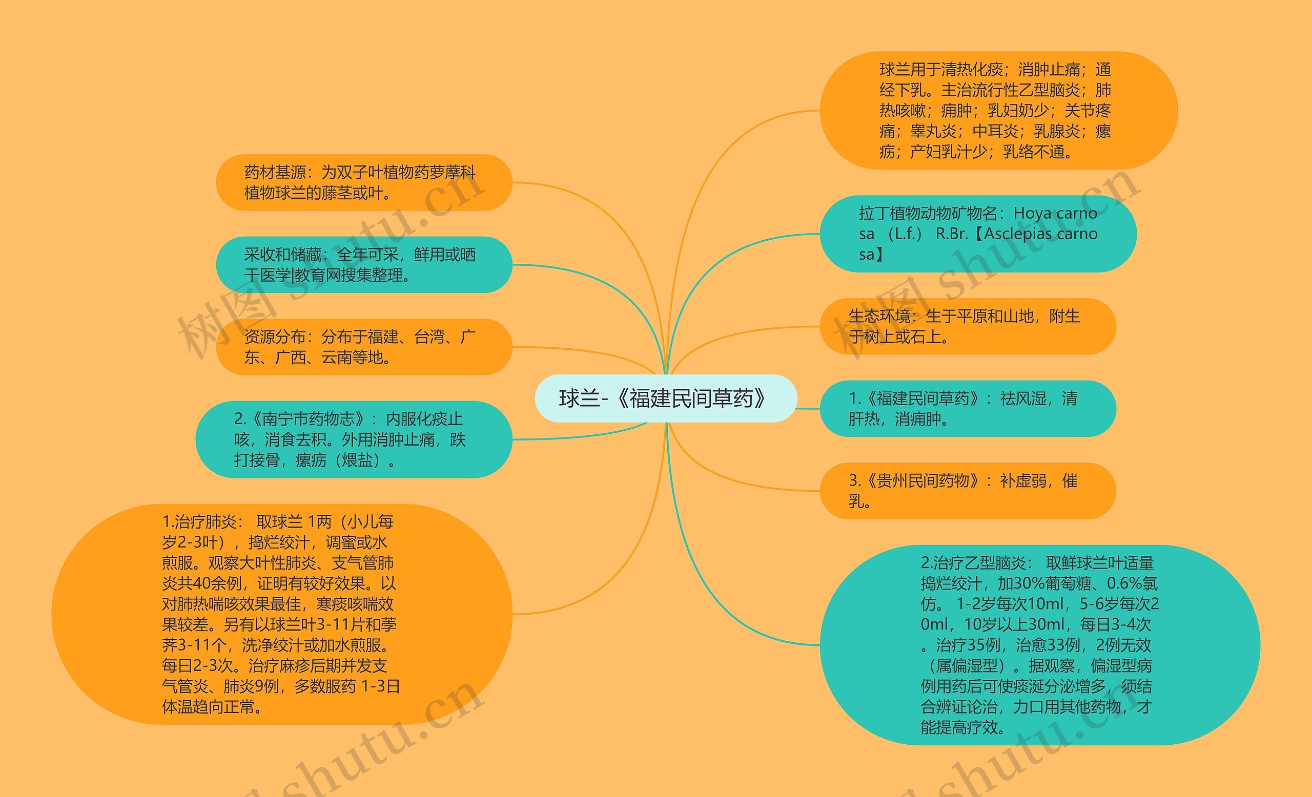 球兰-《福建民间草药》思维导图