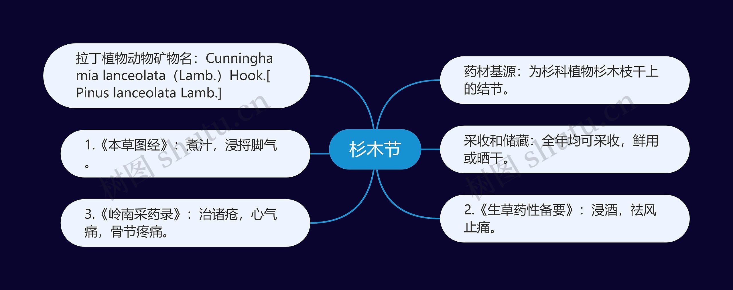 杉木节思维导图