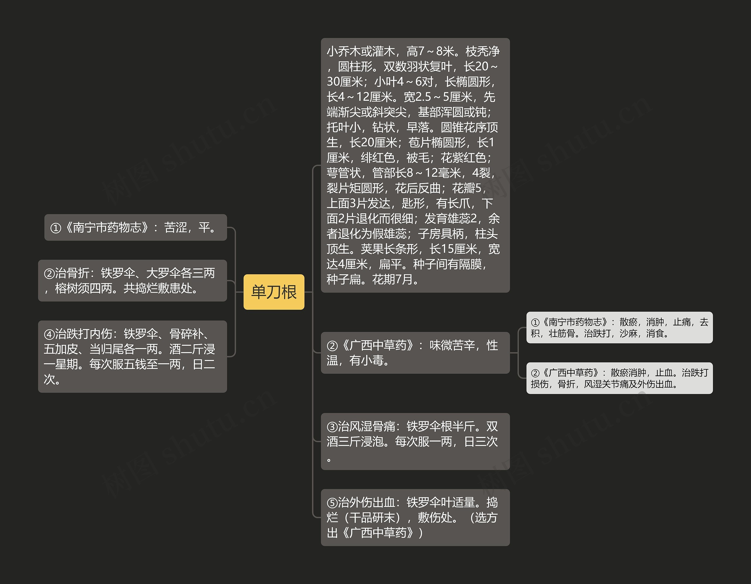 单刀根思维导图