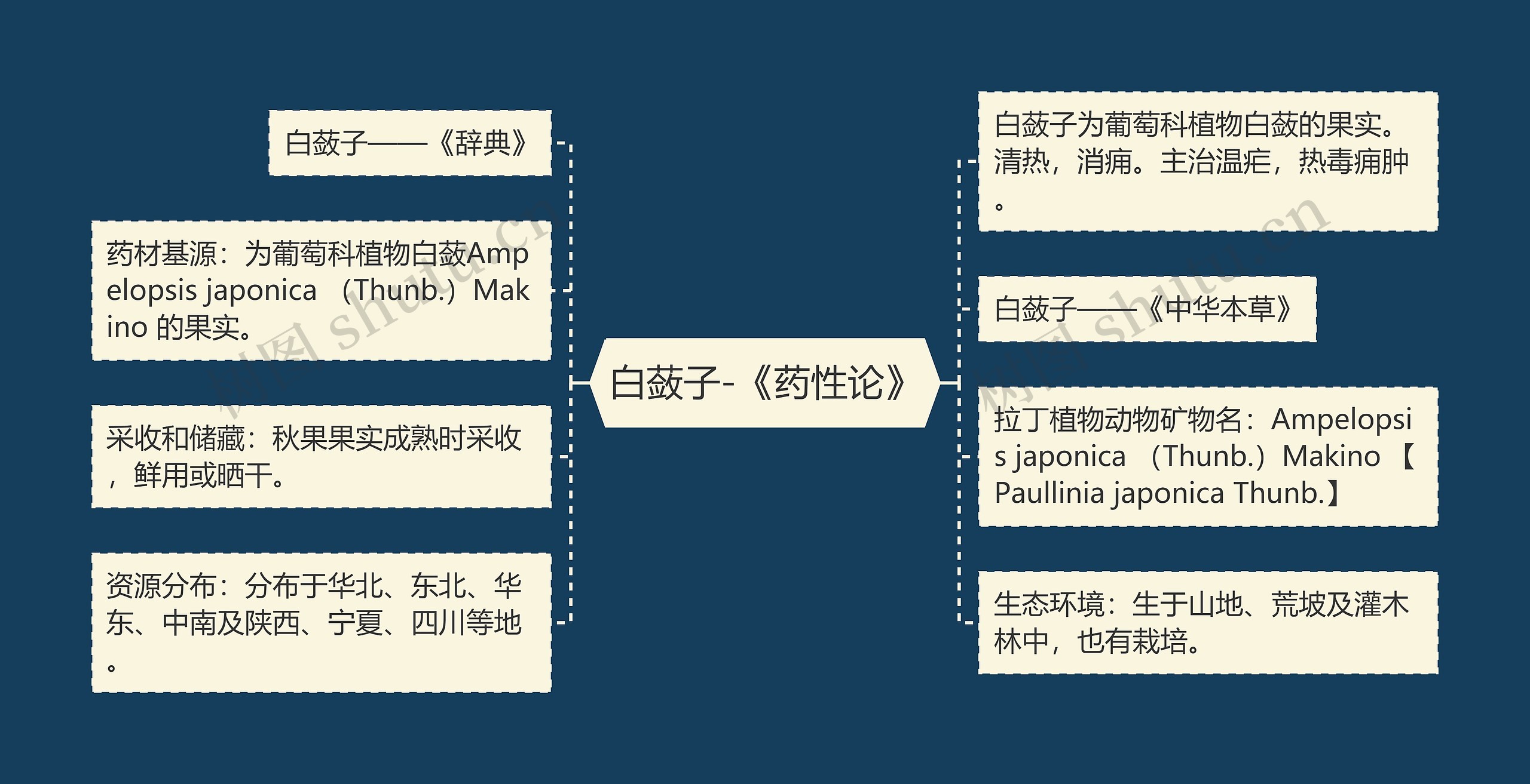 白蔹子-《药性论》思维导图