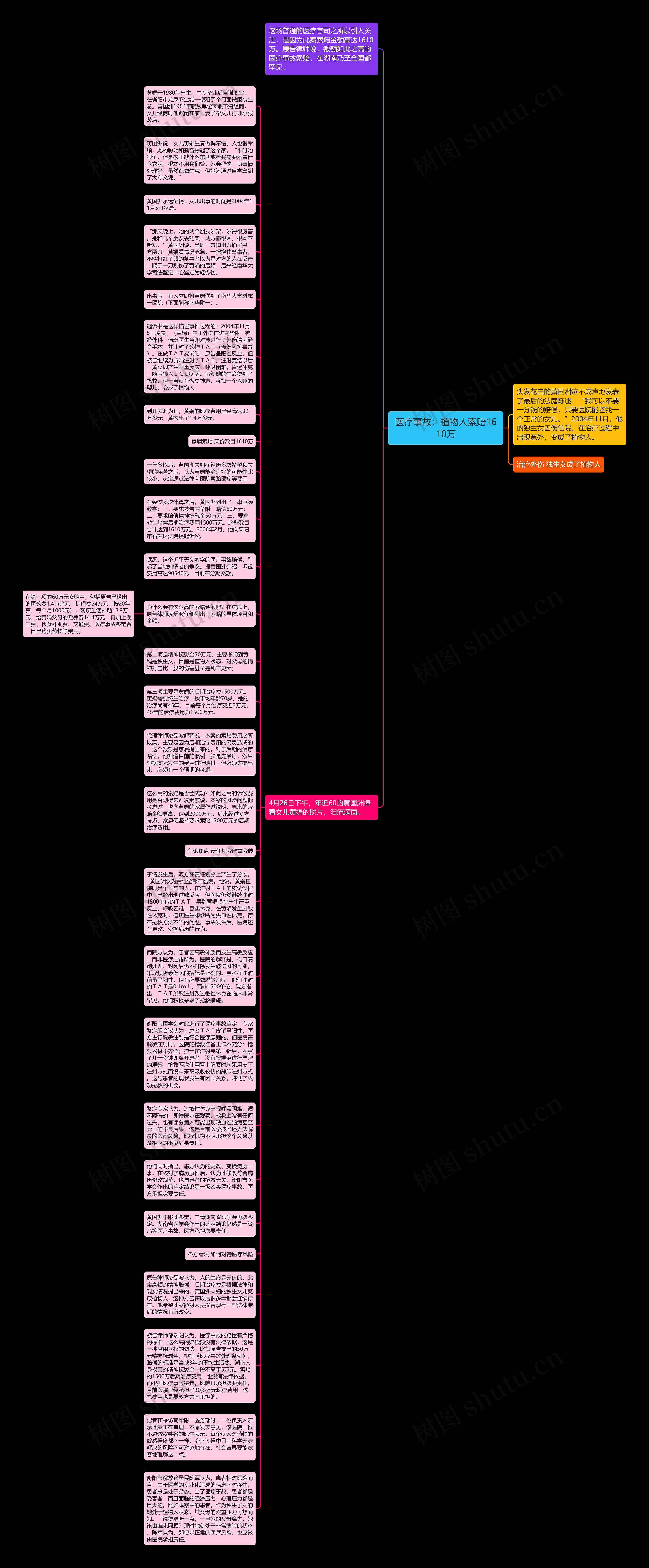 医疗事故：植物人索赔1610万思维导图
