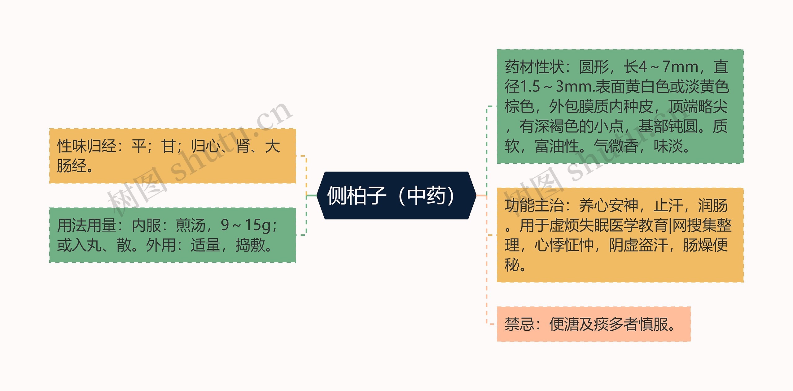 侧柏子(中药) 侧柏子(中药)