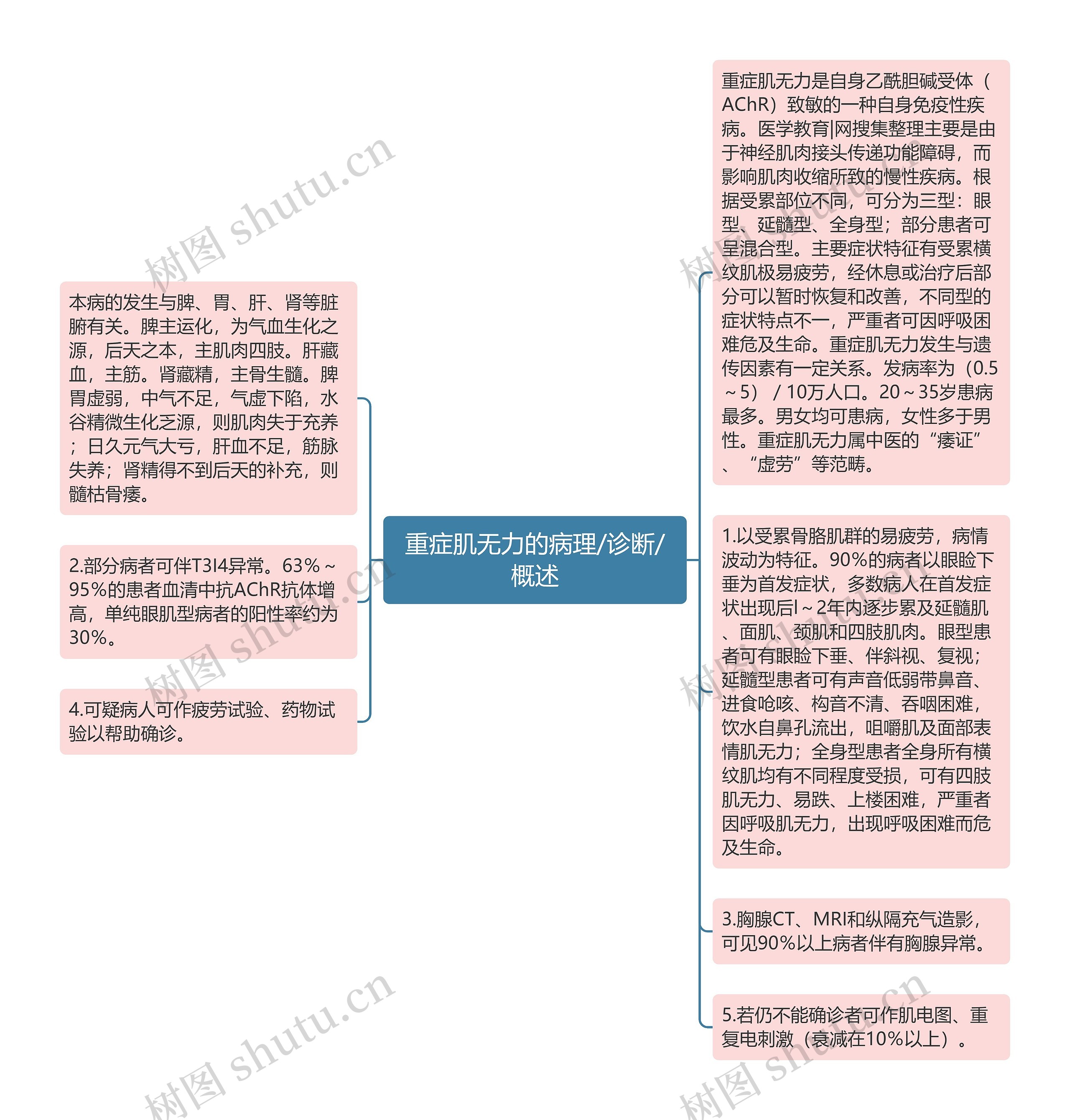 重症肌无力的病理/诊断/概述思维导图