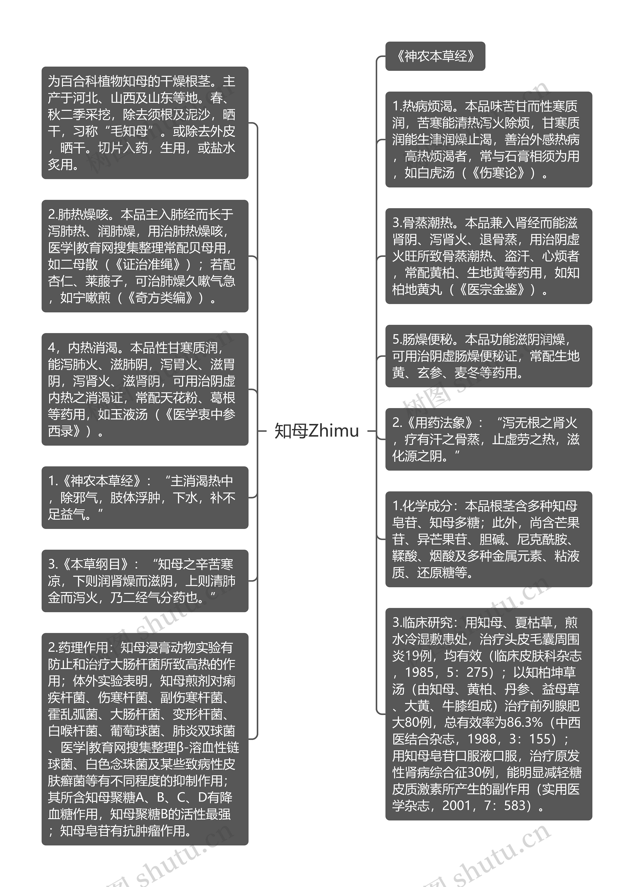 知母Zhimu思维导图