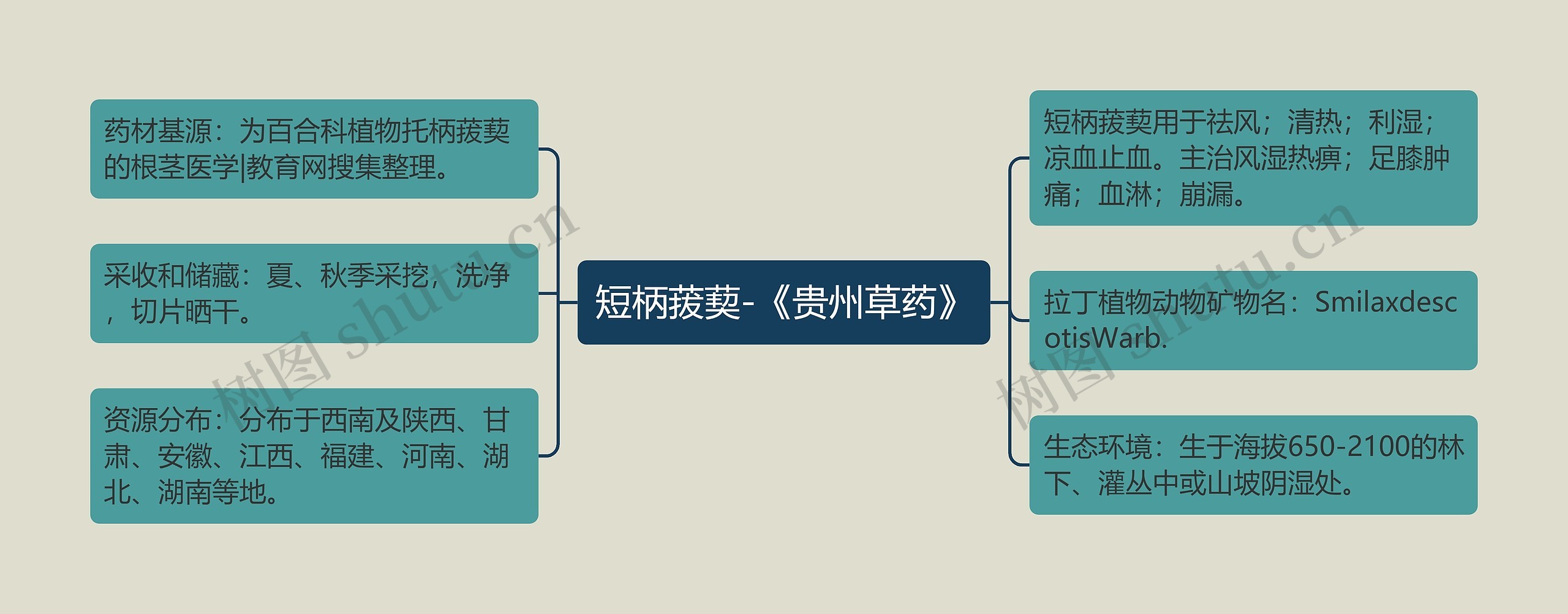 短柄菝葜-《贵州草药》