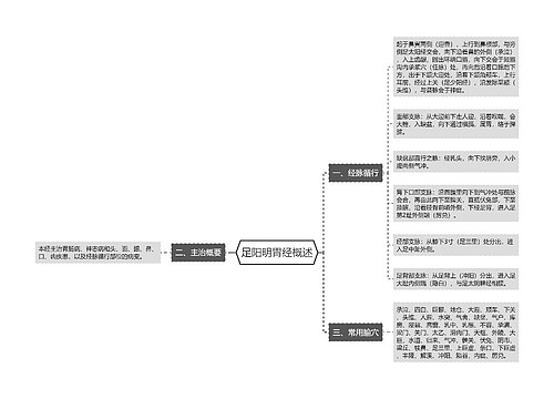 足阳明胃经概述