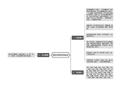 足阳明胃经概述