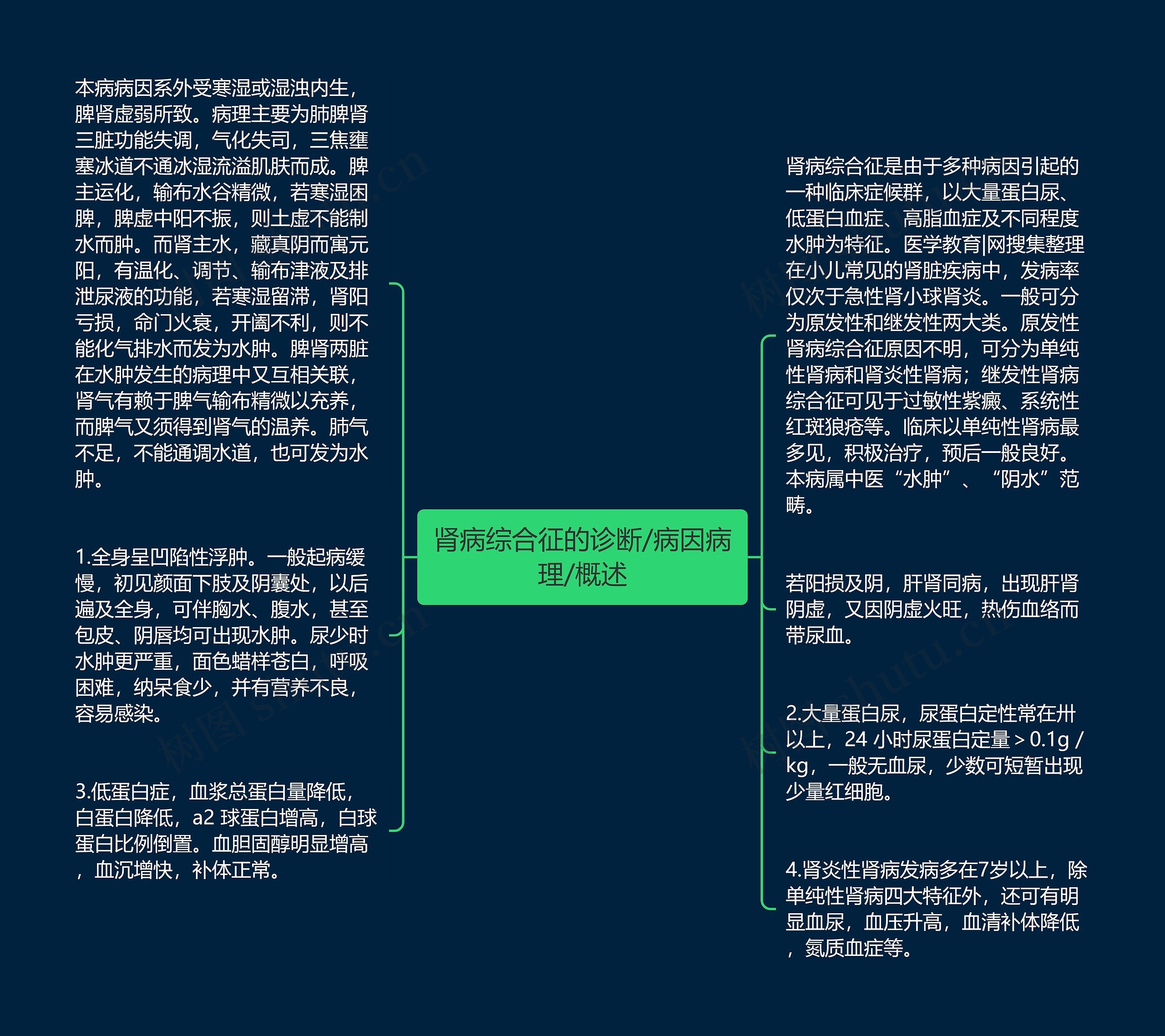 肾病综合征的诊断/病因病理/概述