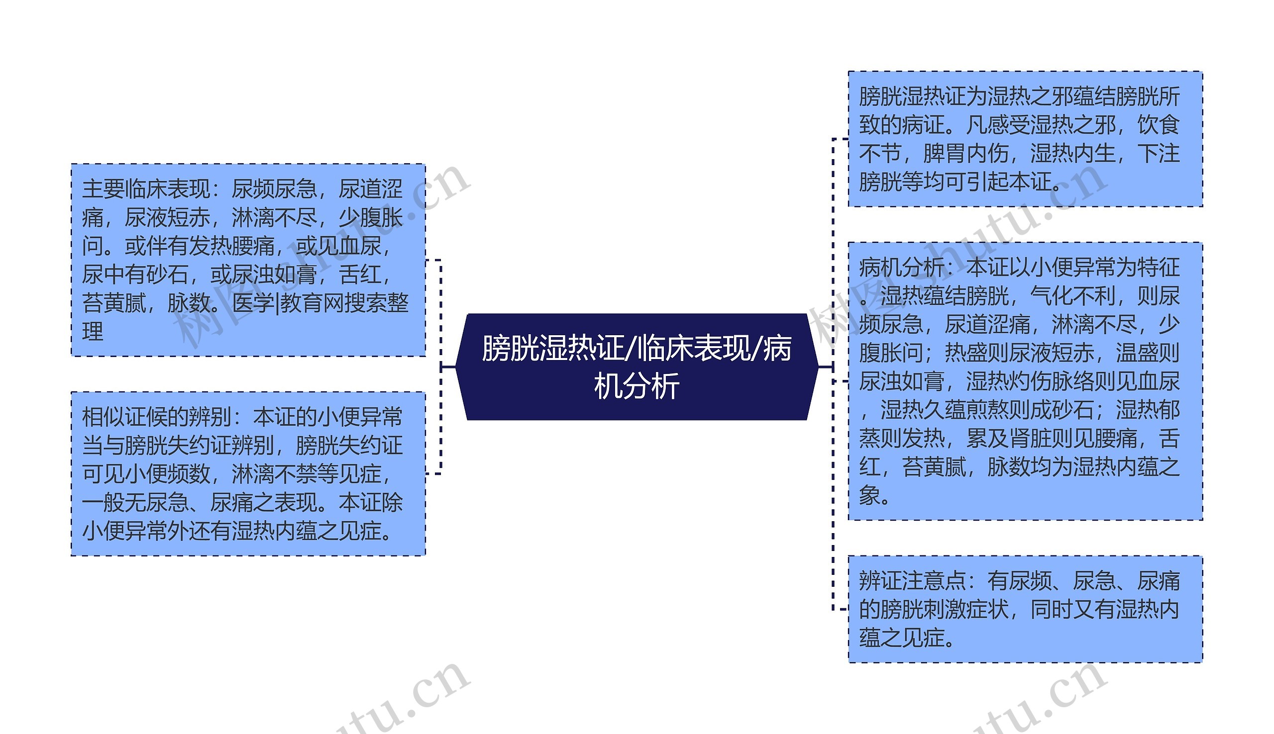 膀胱湿热证/临床表现/病机分析 膀胱湿热证/临床表现/病机分析
