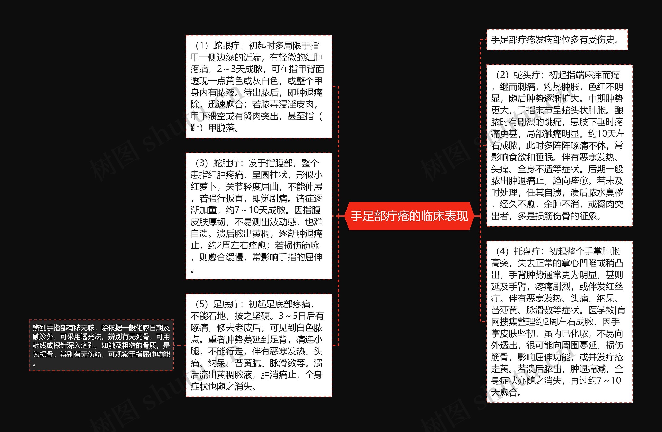 手足部疔疮的临床表现思维导图