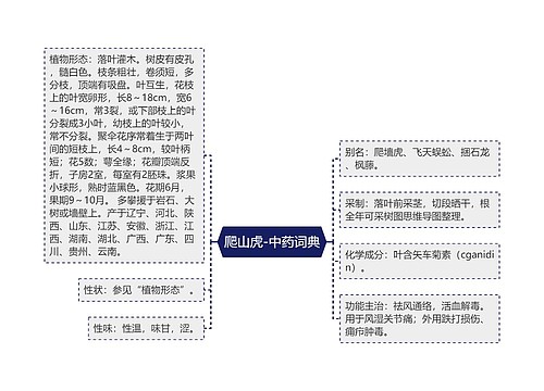 爬山虎-中药词典
