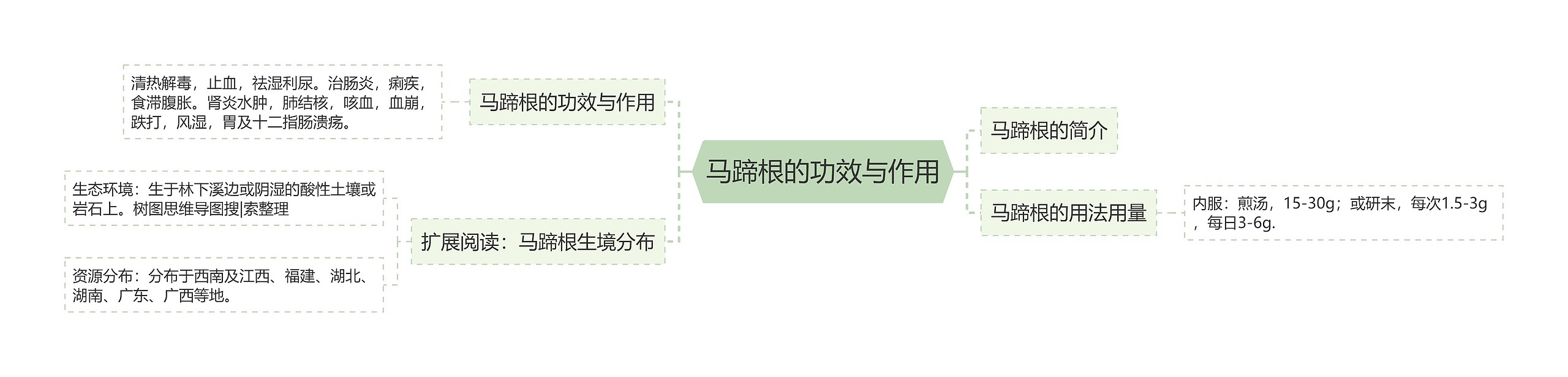 马蹄根的功效与作用