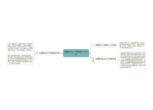 眼睛轻伤一级赔偿20万多吗