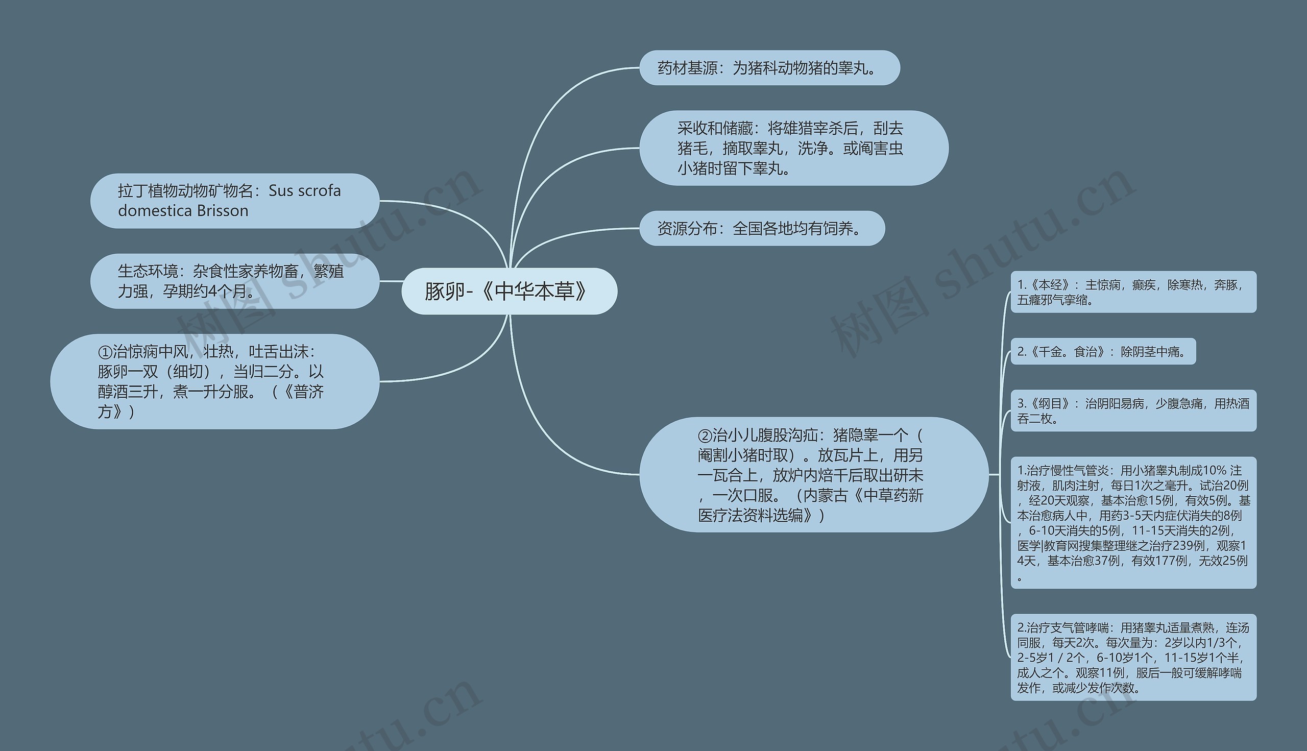 豚卵-《中华本草》思维导图