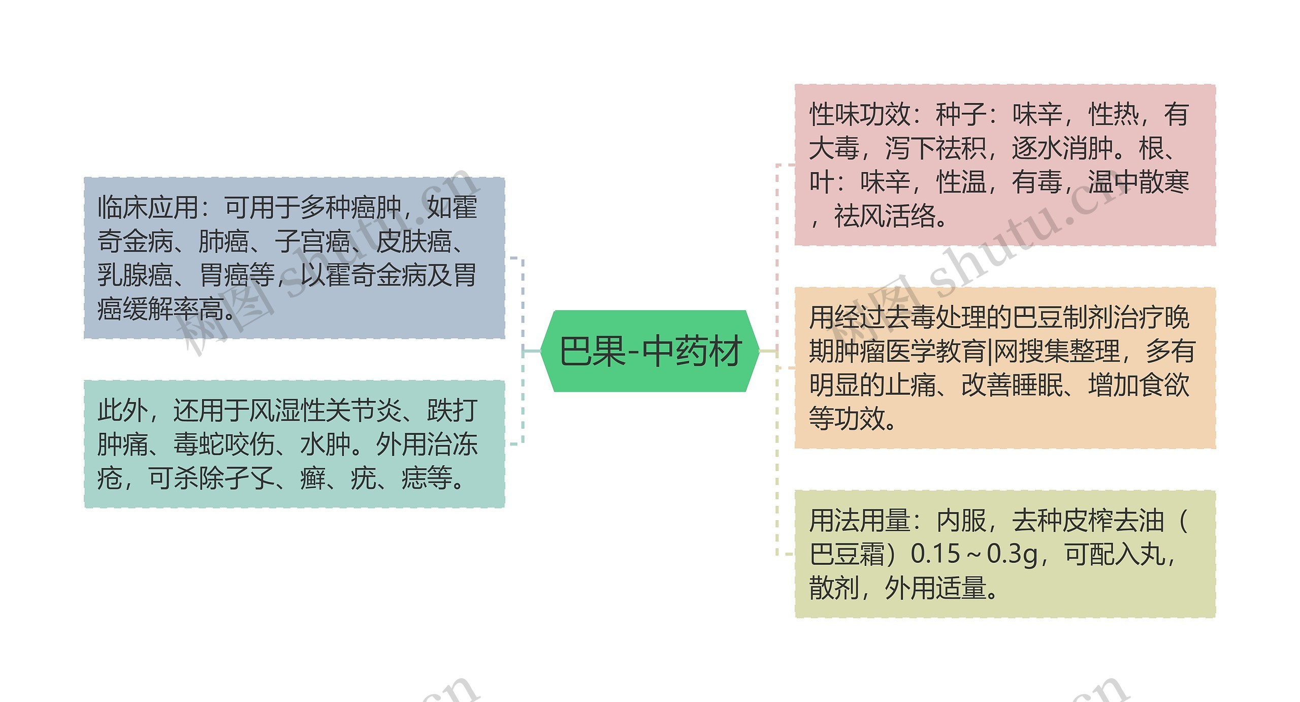 巴果-中药材思维导图