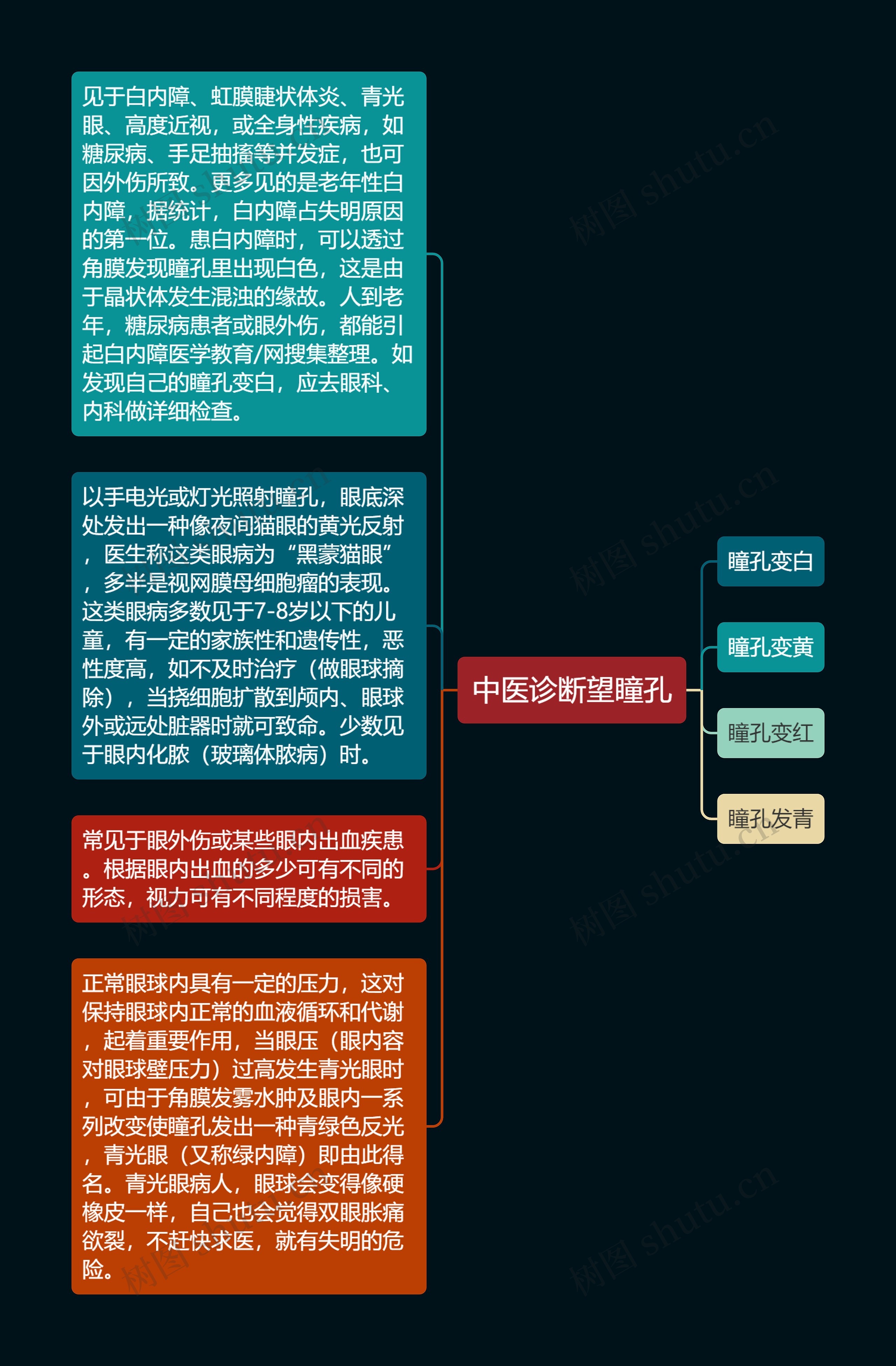 中医诊断望瞳孔思维导图