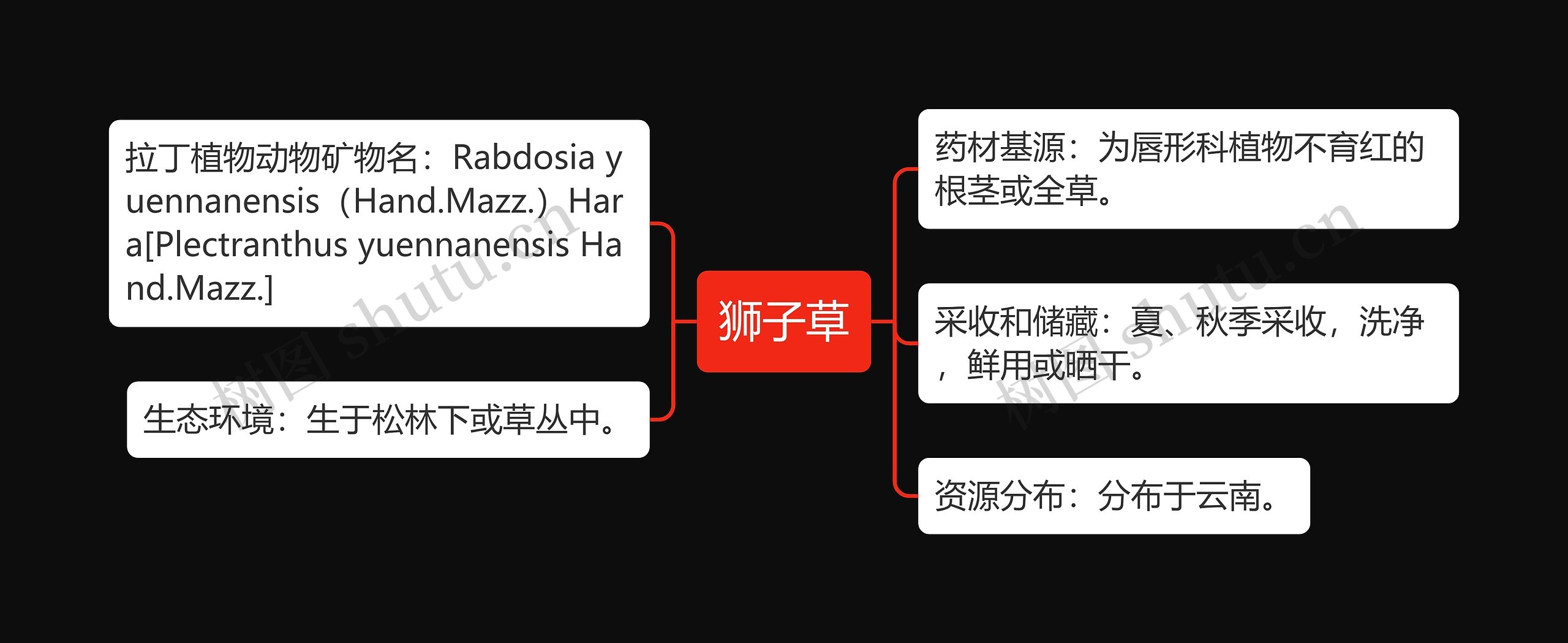 狮子草思维导图