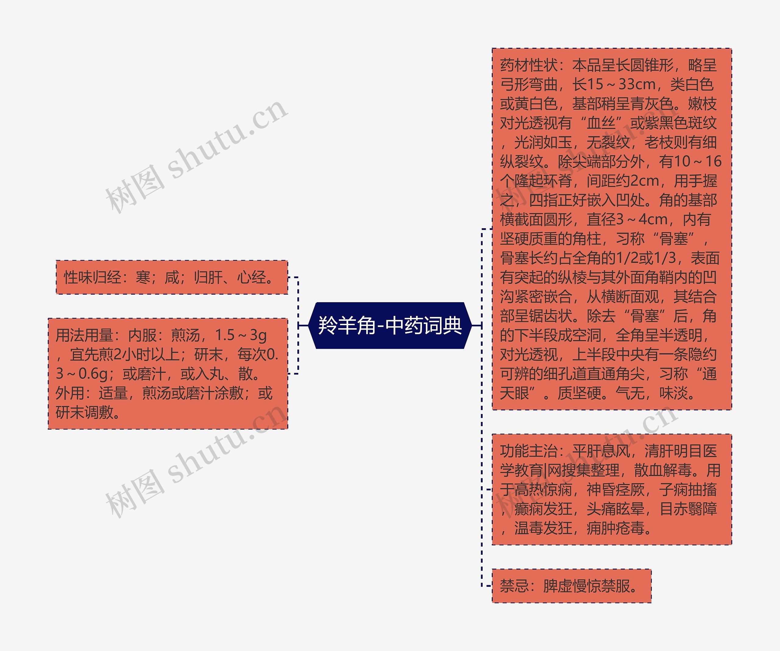 羚羊角-中药词典思维导图