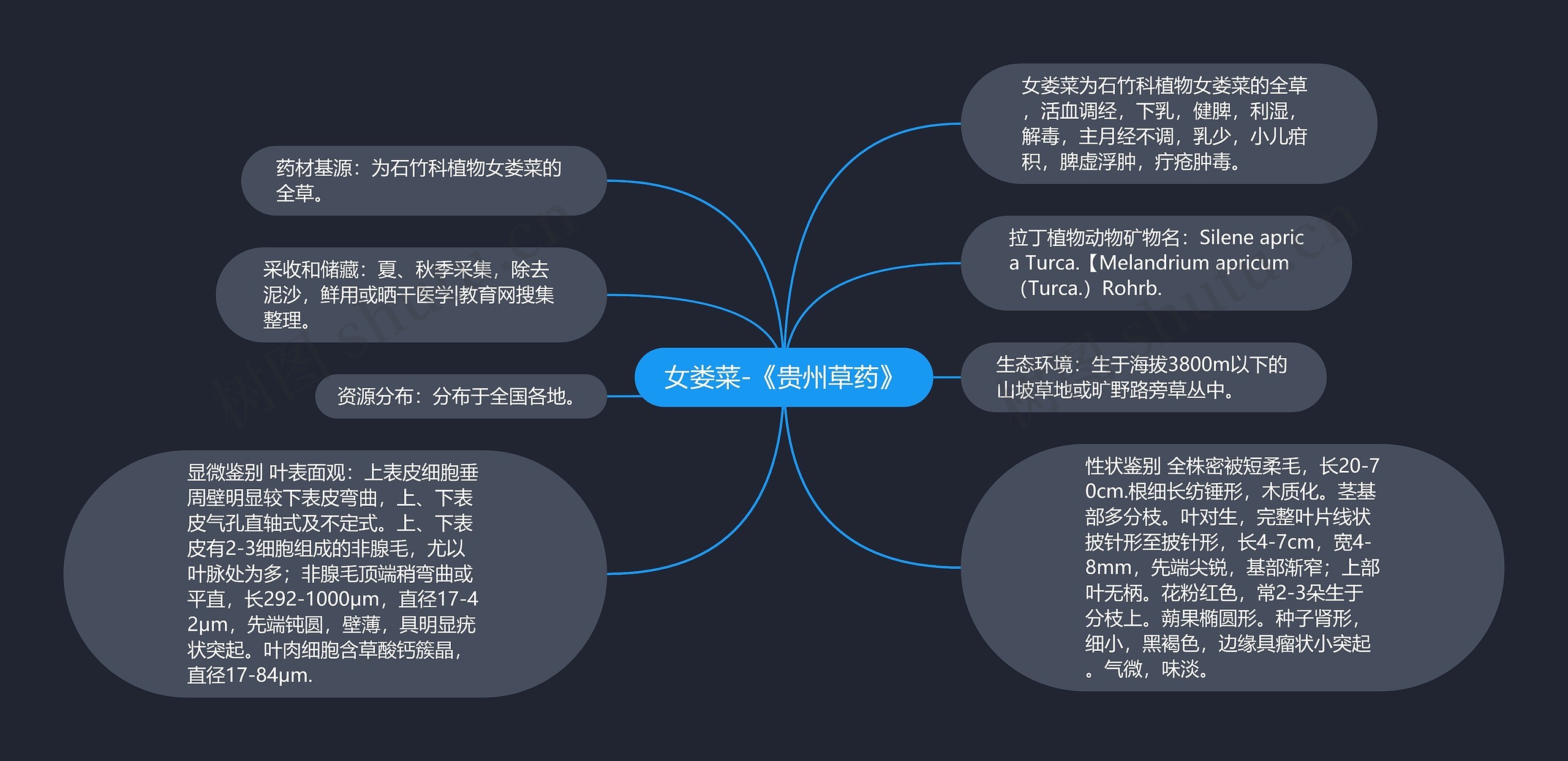 女娄菜-《贵州草药》 女娄菜-《贵州草药》