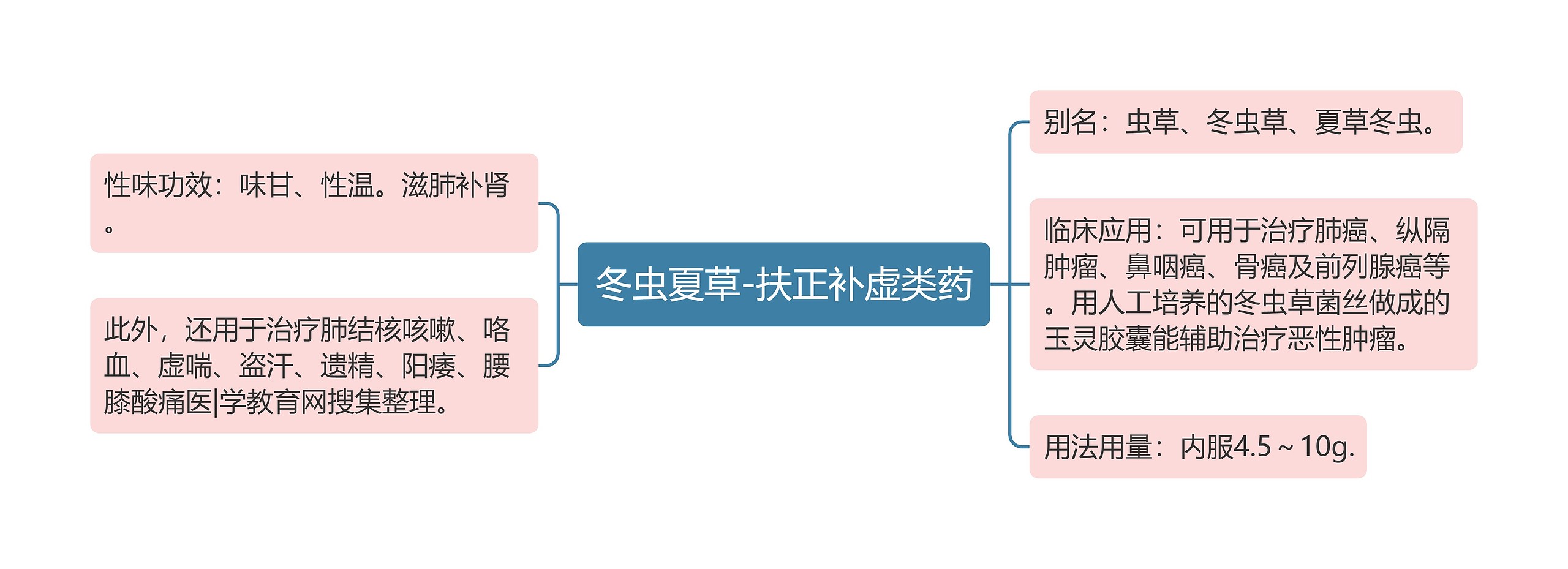 冬虫夏草-扶正补虚类药思维导图