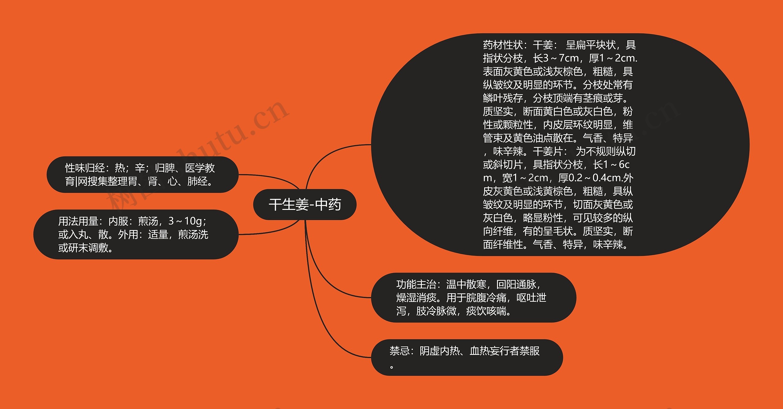 干生姜-中药 干生姜-中药