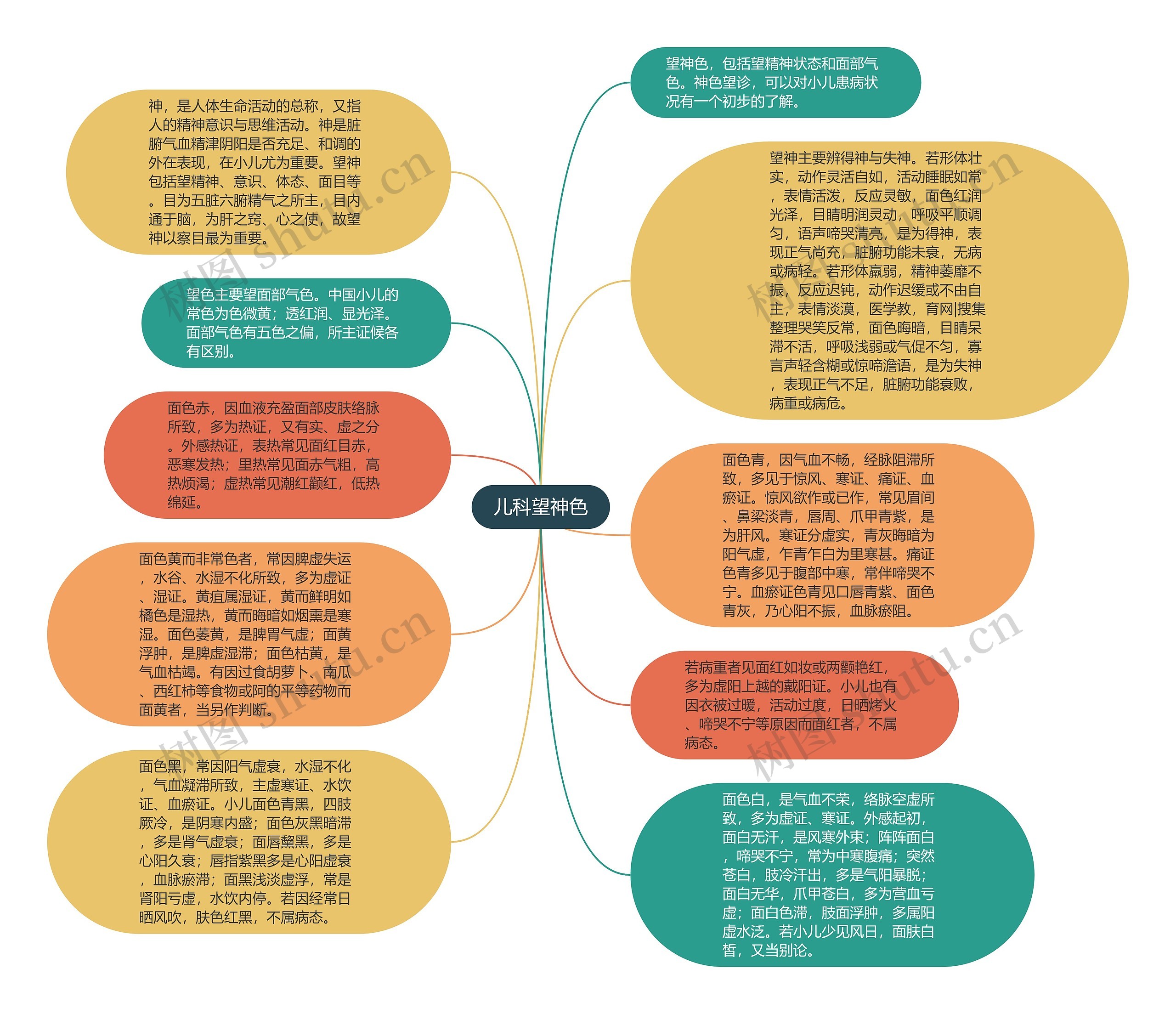 儿科望神色思维导图