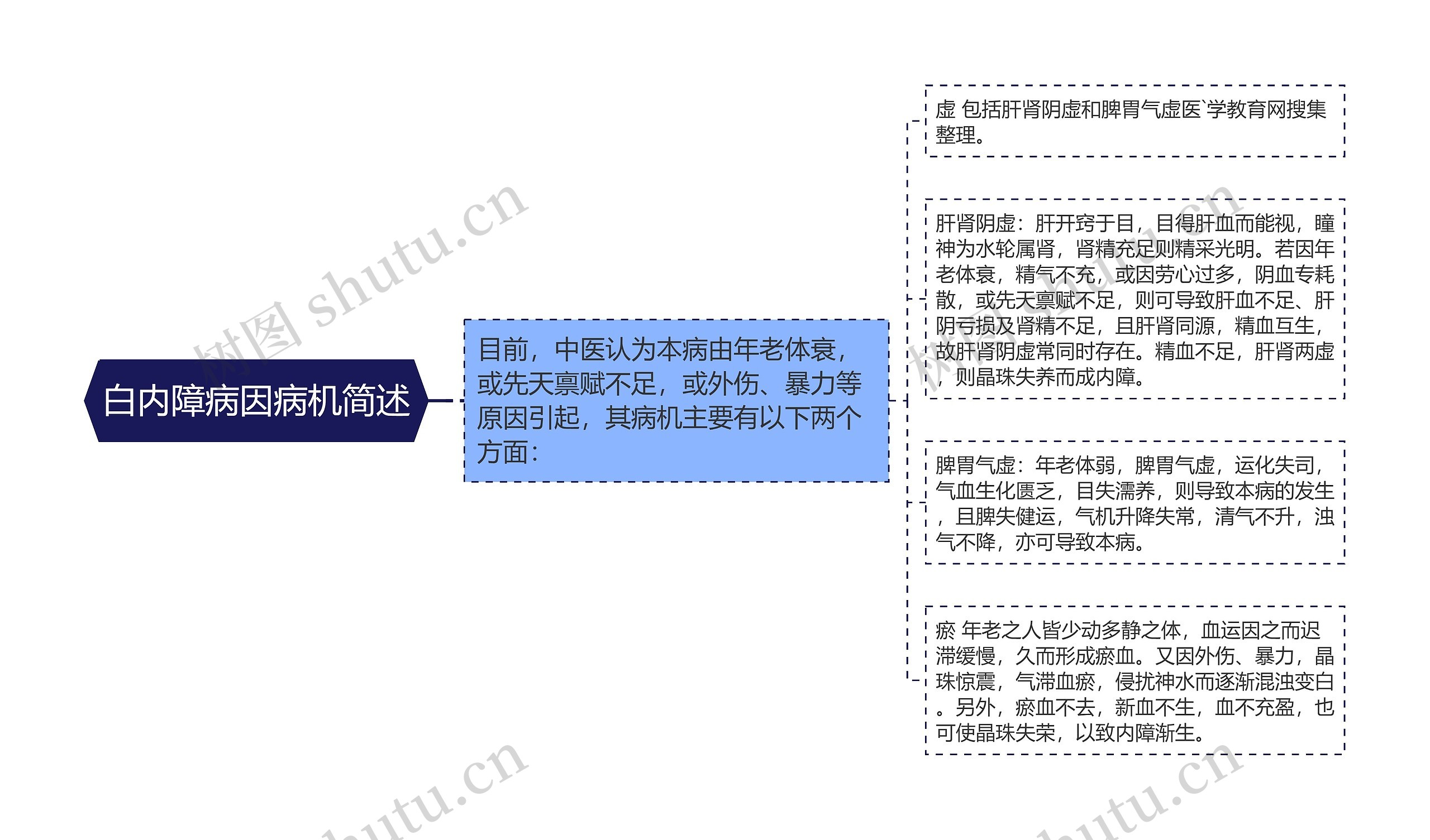 白内障病因病机简述思维导图