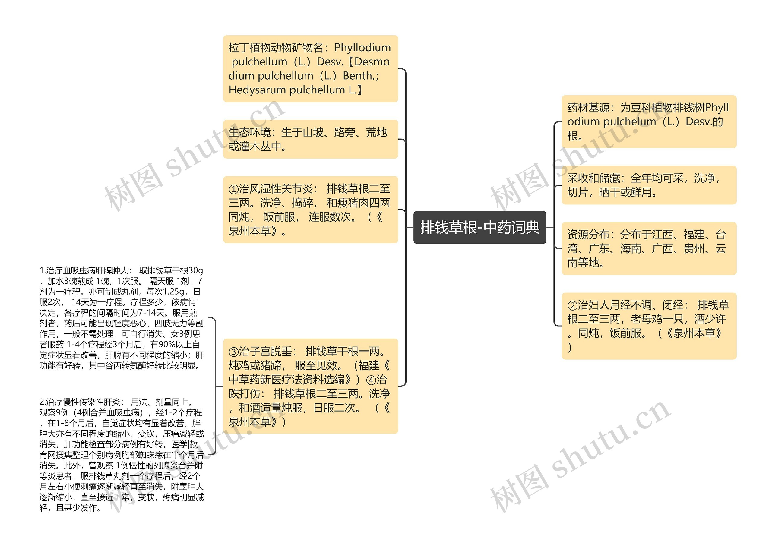 排钱草根-中药词典思维导图