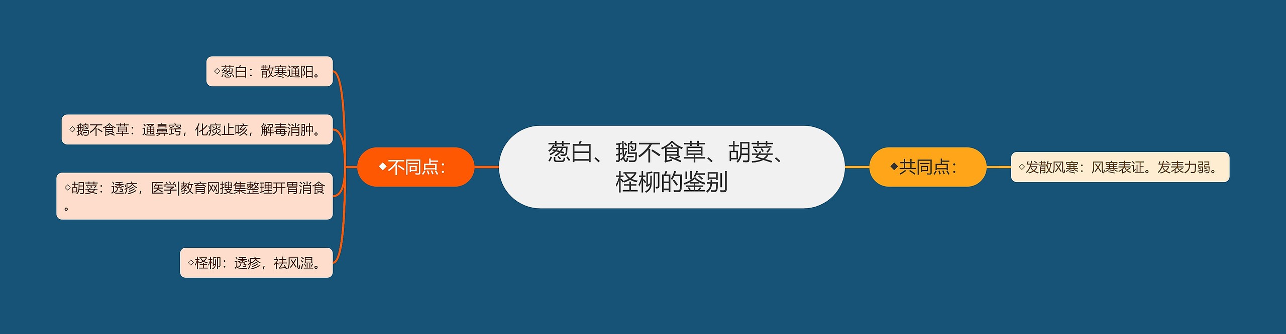 葱白、鹅不食草、胡荽、柽柳的鉴别思维导图高清图 葱白、鹅不食草、胡荽、柽柳的鉴别思维导图