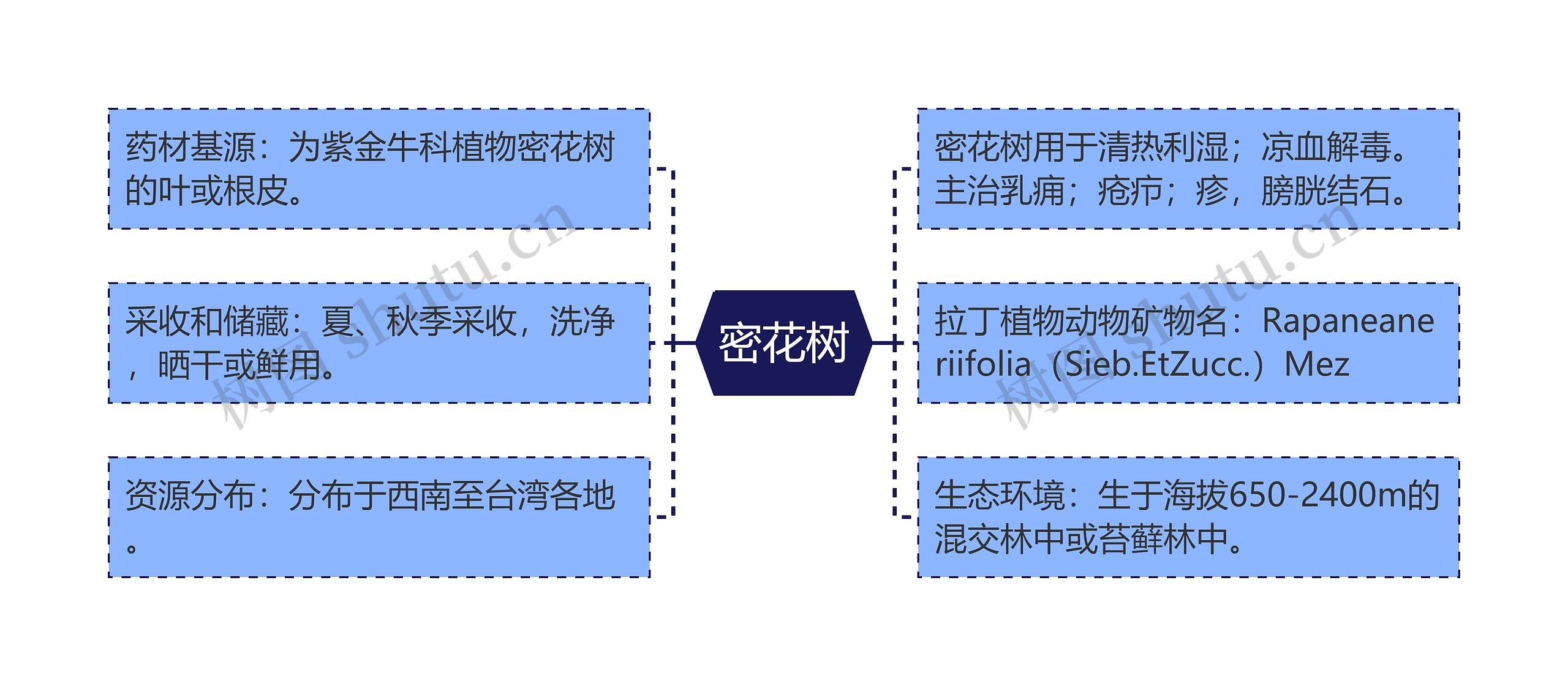 密花树