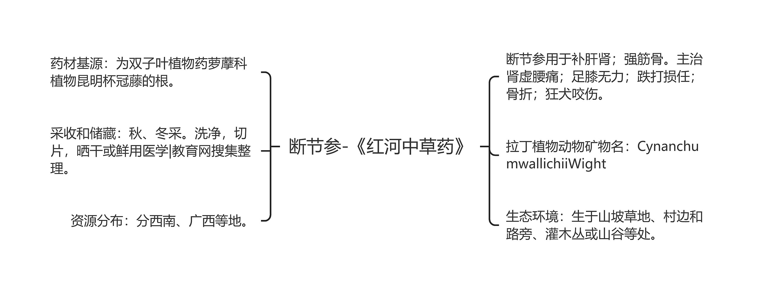 断节参-《红河中草药》 断节参-《红河中草药》