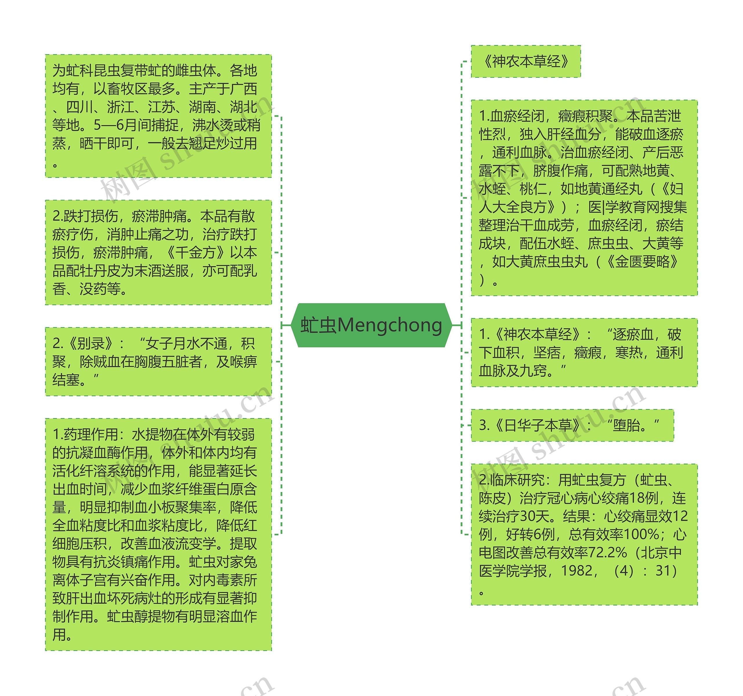 虻虫Mengchong