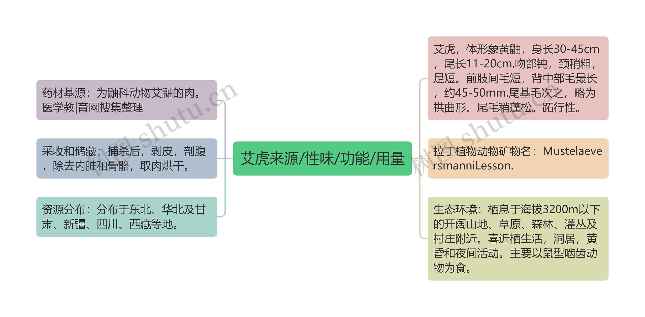 艾虎来源/性味/功能/用量思维导图