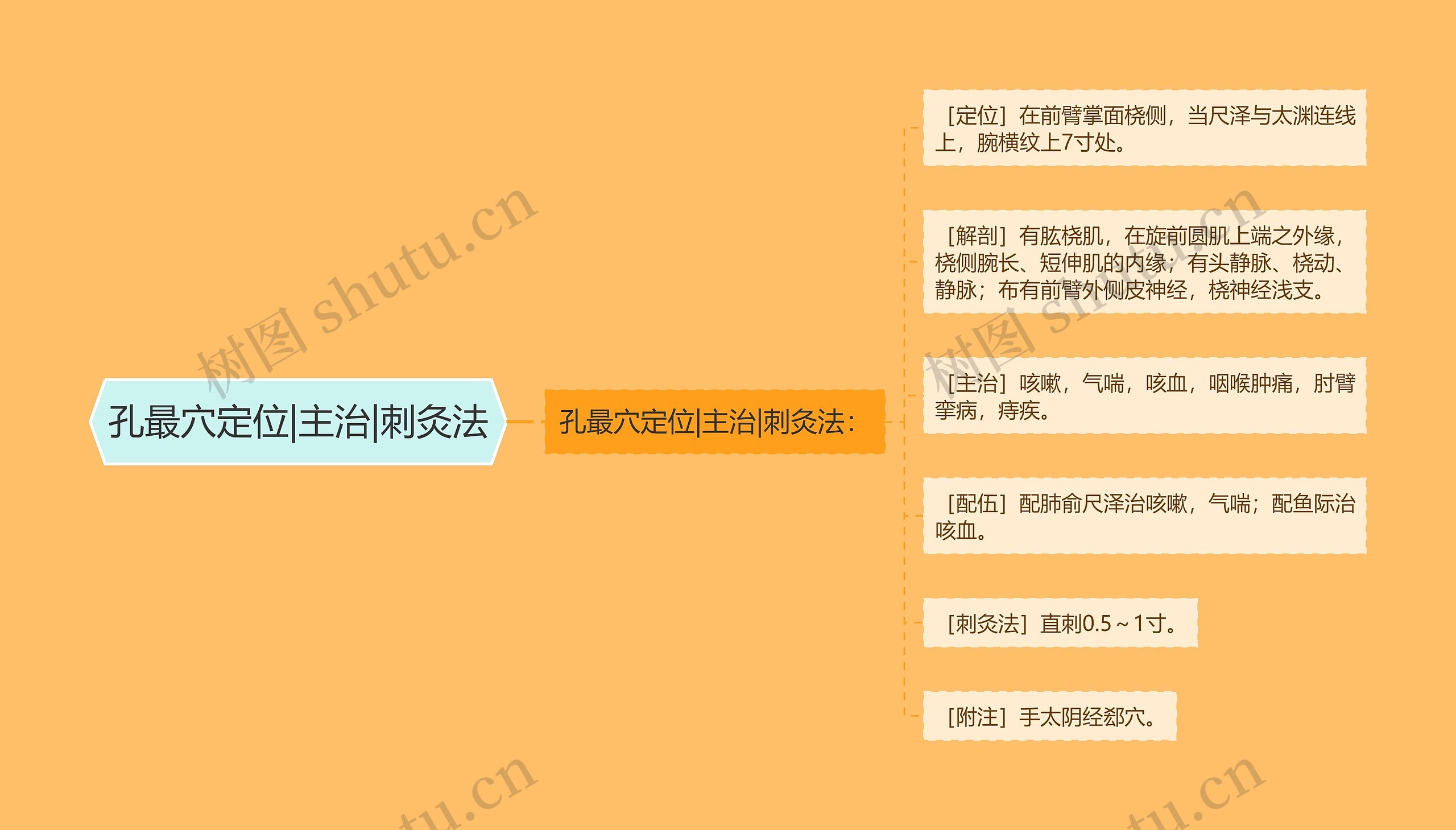 孔最穴定位|主治|刺灸法 孔最穴定位|主治|刺灸法