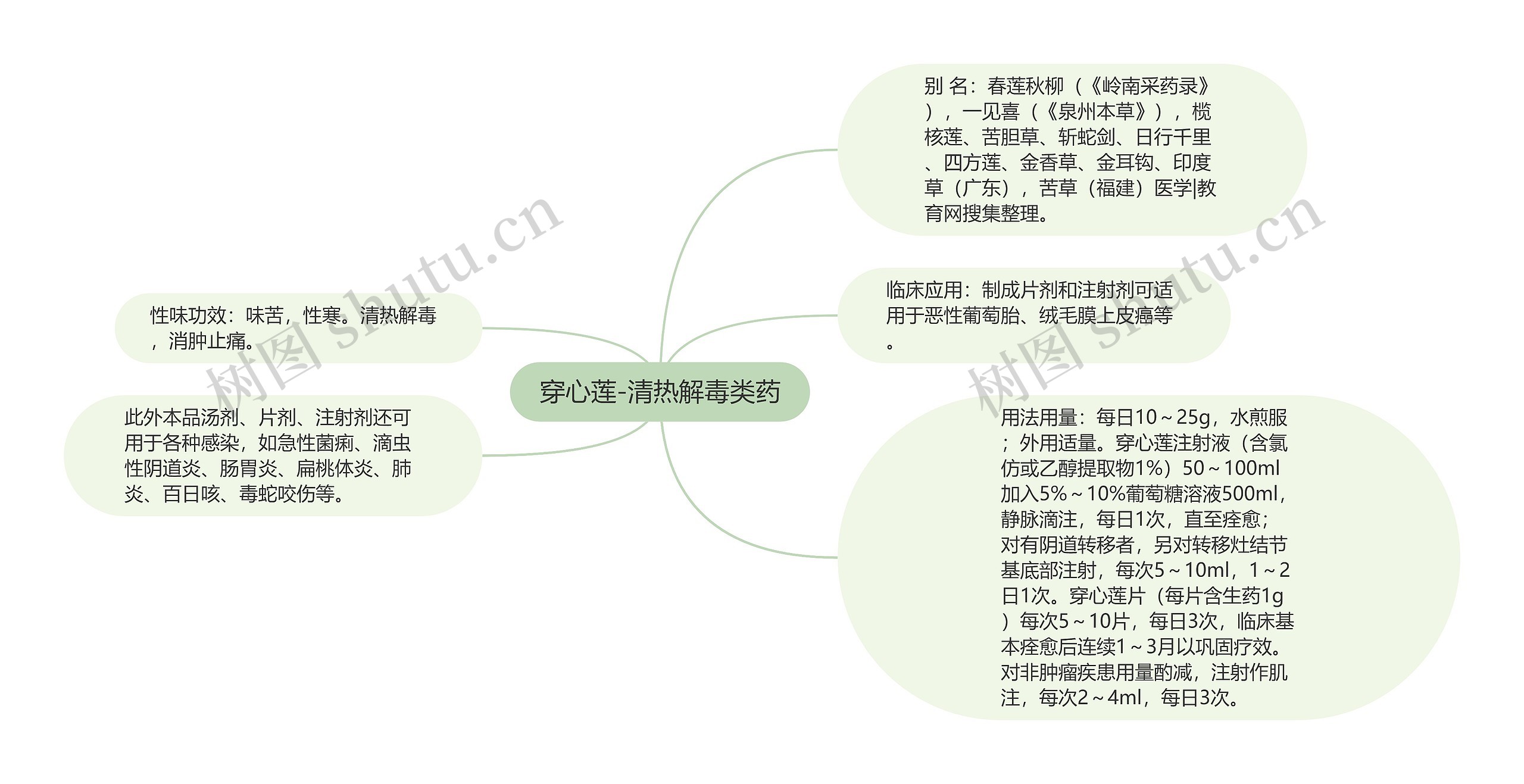 穿心莲-清热解毒类药思维导图