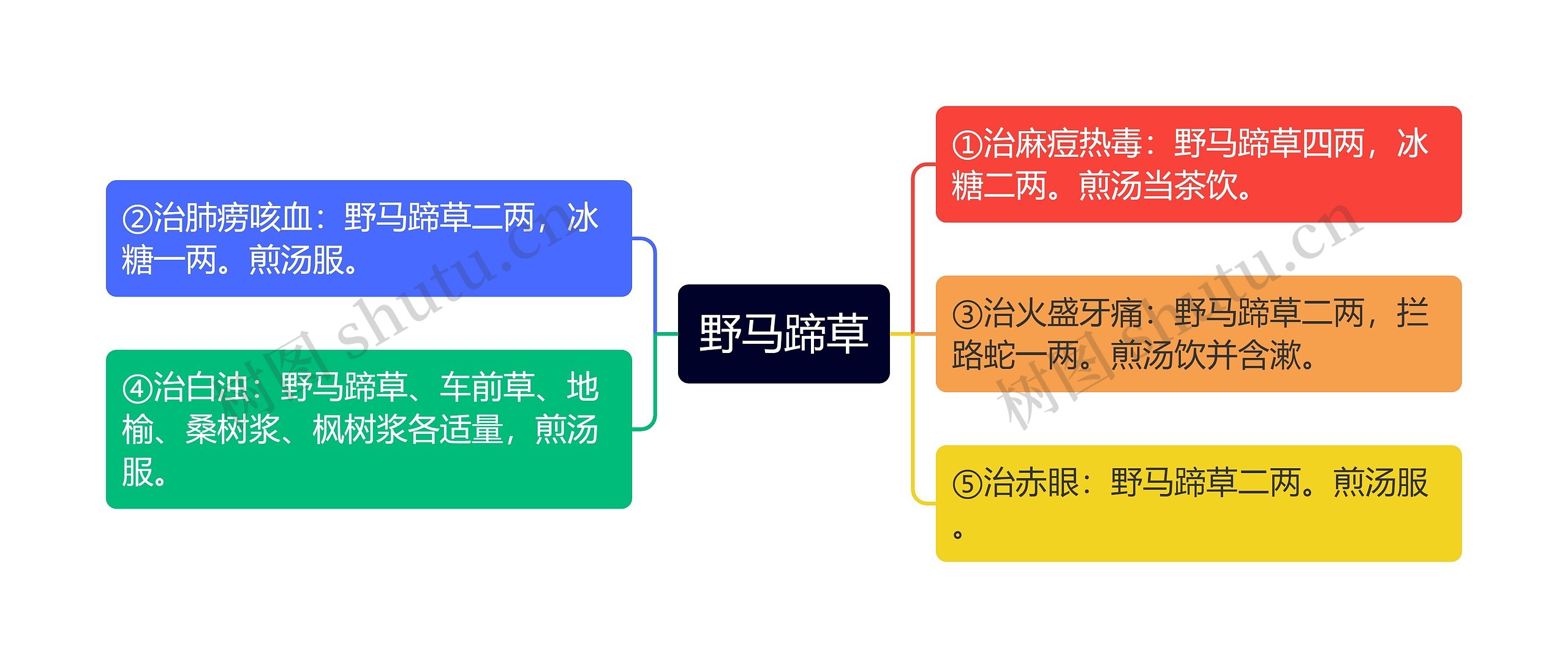 野马蹄草思维导图