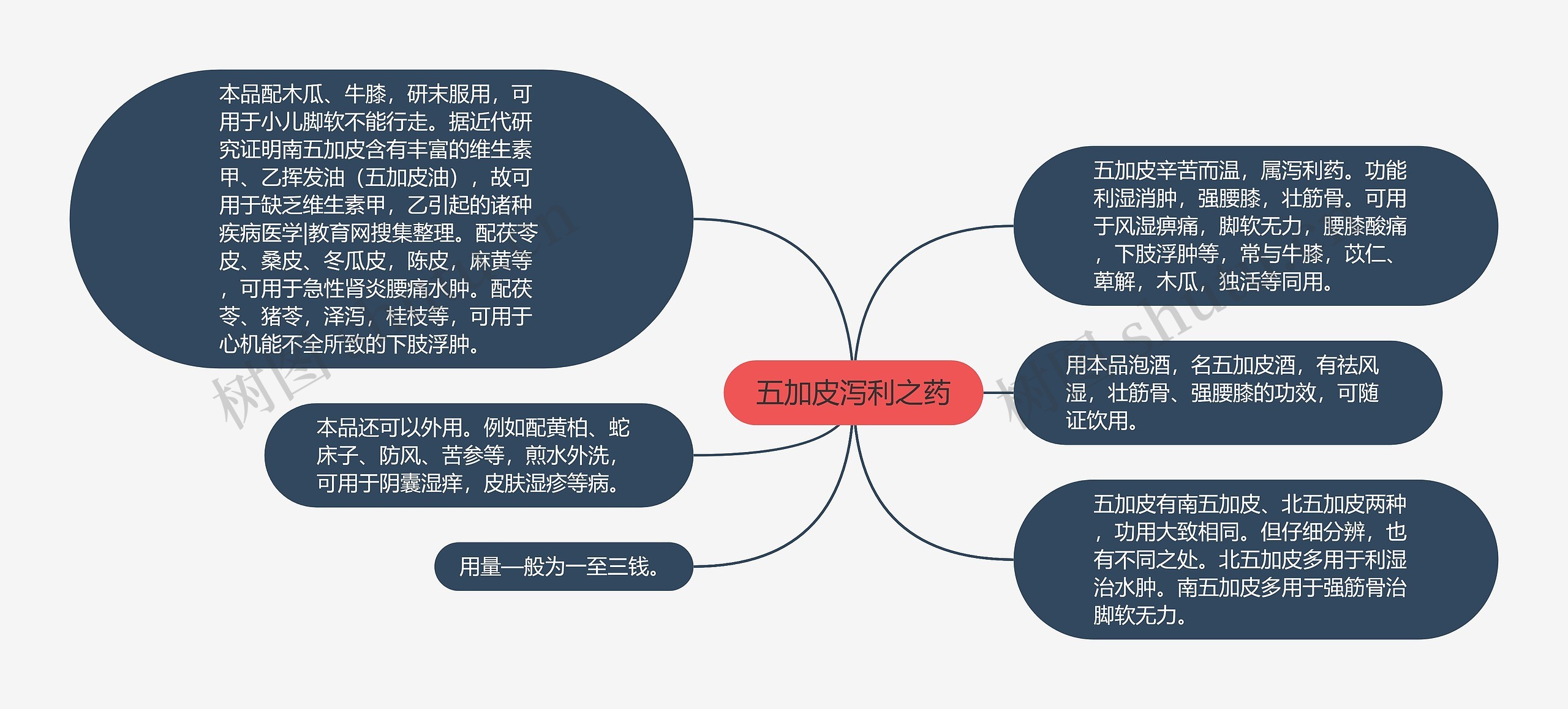 五加皮泻利之药