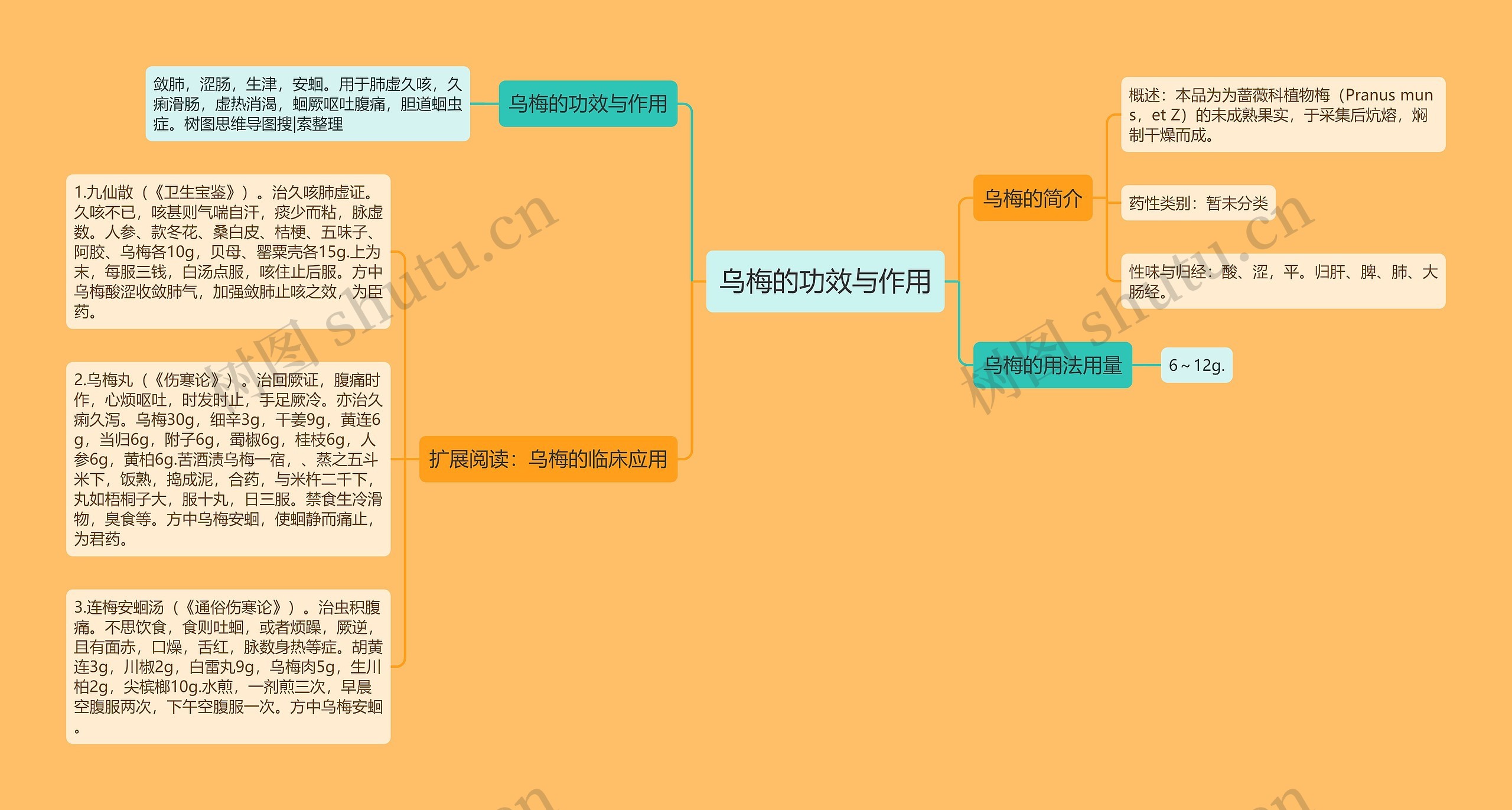 乌梅的功效与作用 乌梅的功效与作用