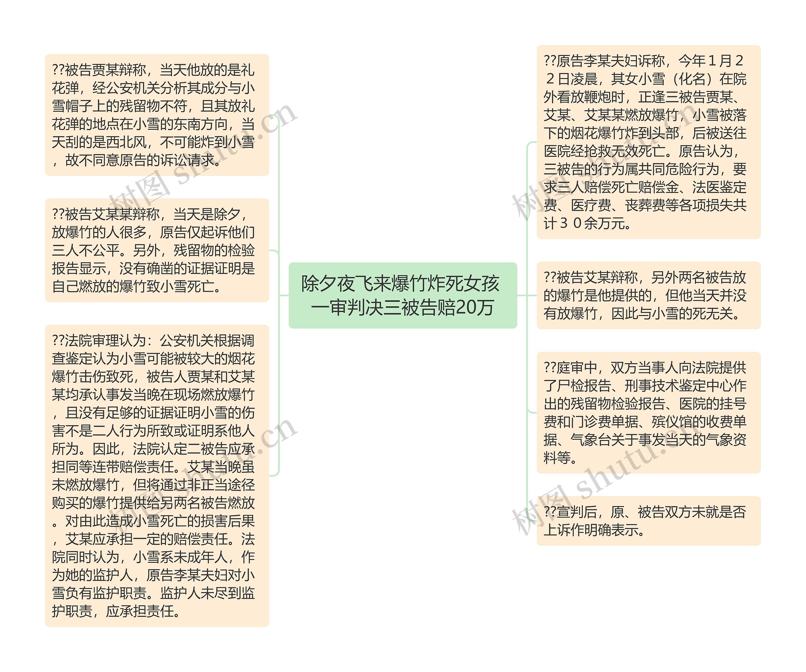 除夕夜飞来爆竹炸死女孩 一审判决三被告赔20万思维导图