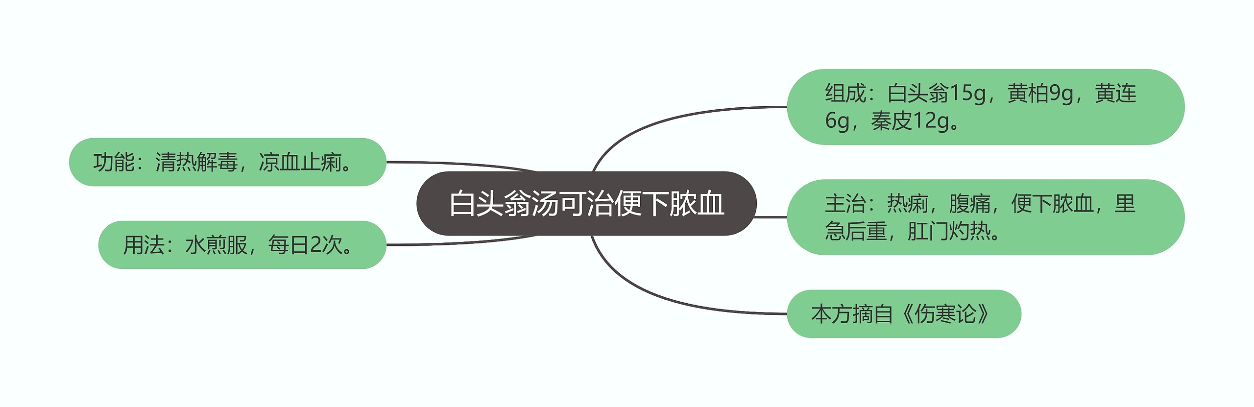 白头翁汤可治便下脓血思维导图