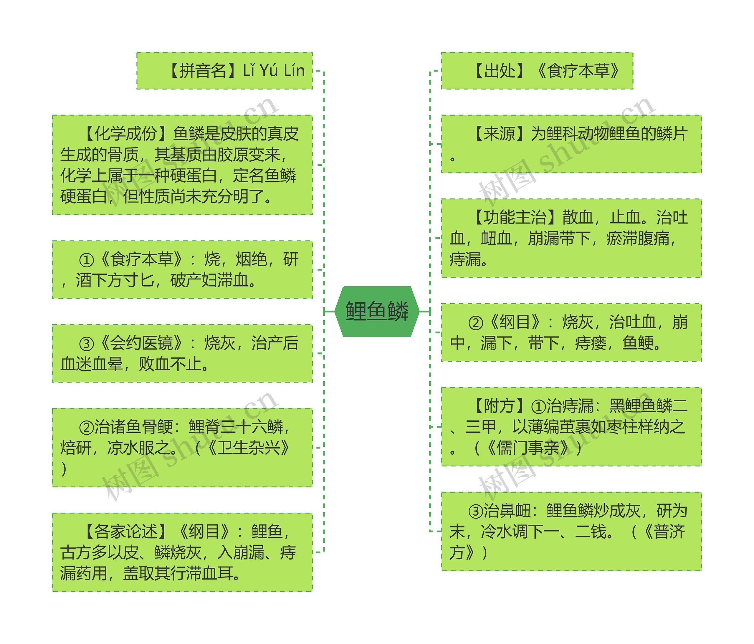 鲤鱼鳞思维导图